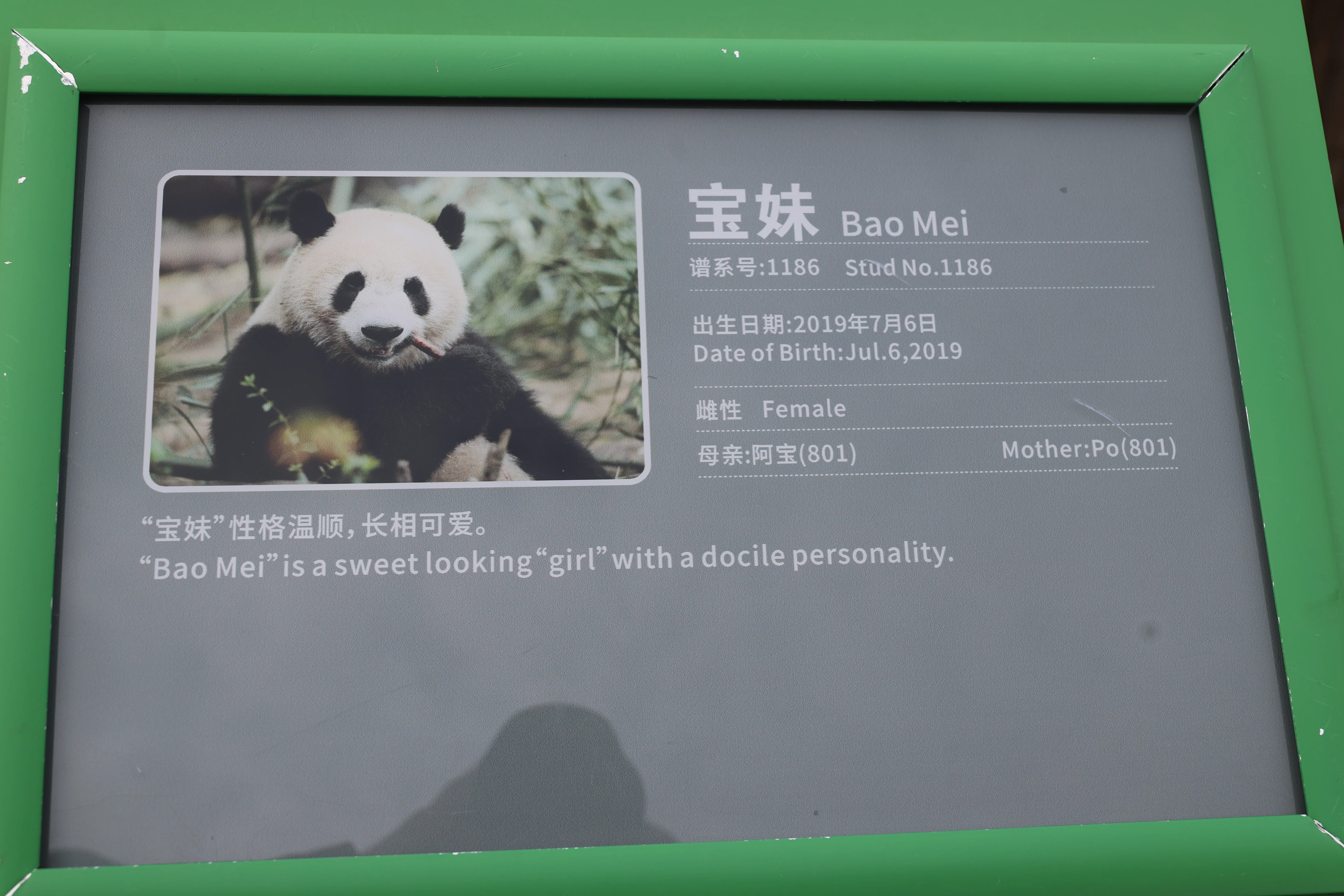 Bao Mei