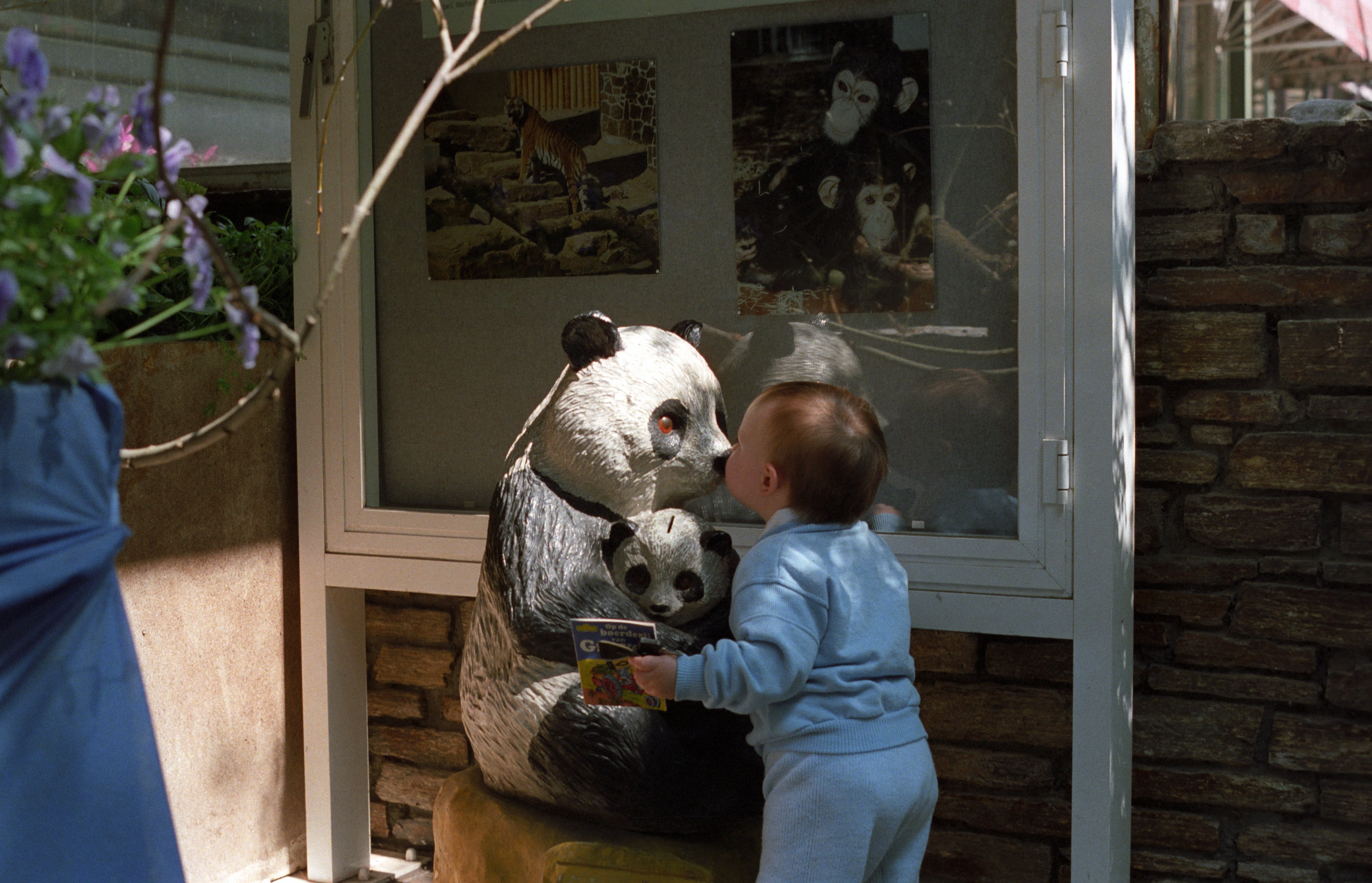 Zoo van Antwerpen