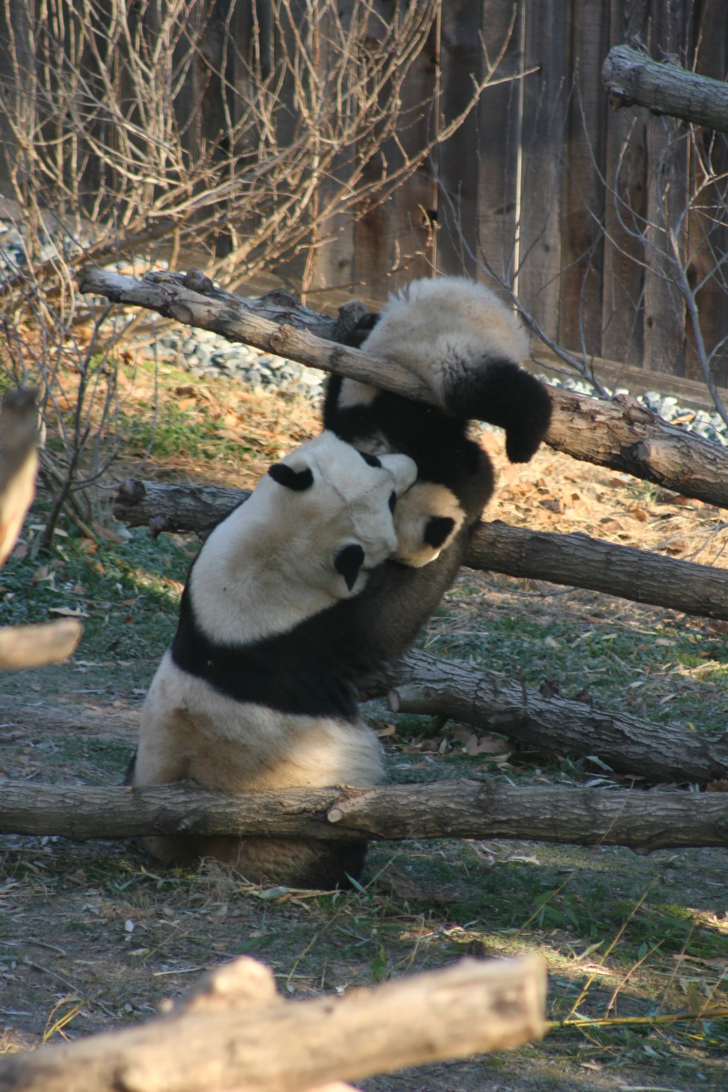 Smithsonian's National Zoo