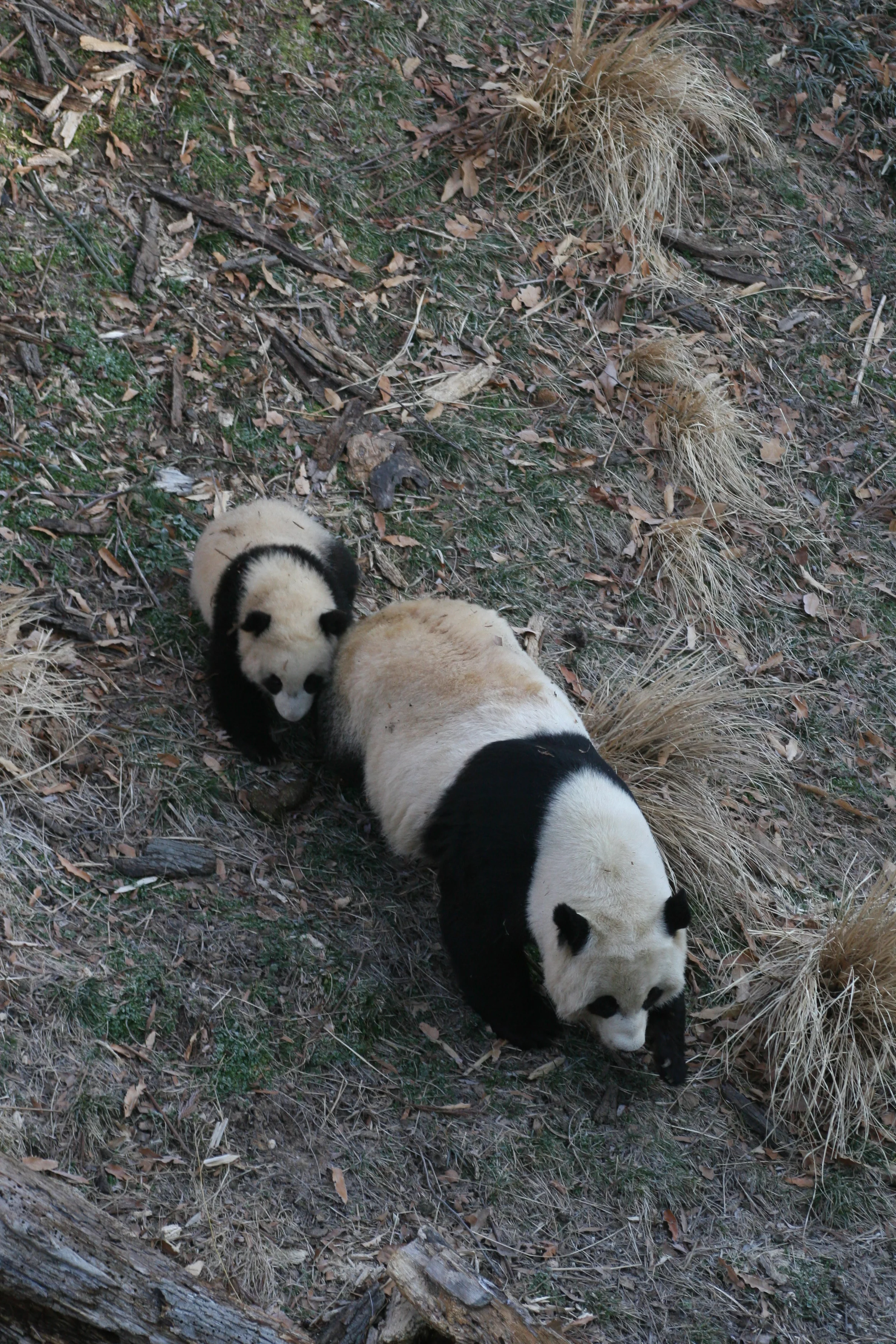 Smithsonian's National Zoo