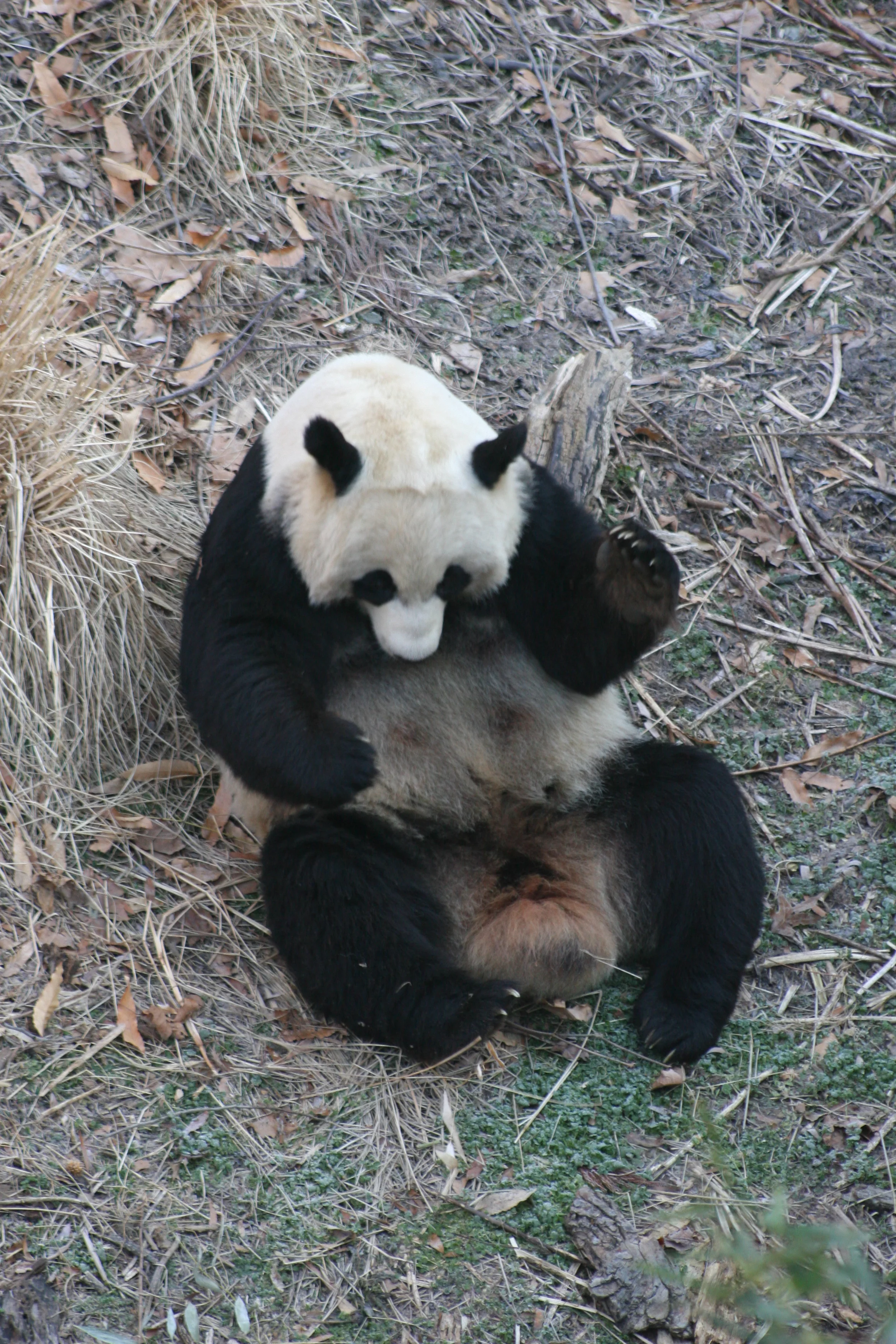 Smithsonian's National Zoo
