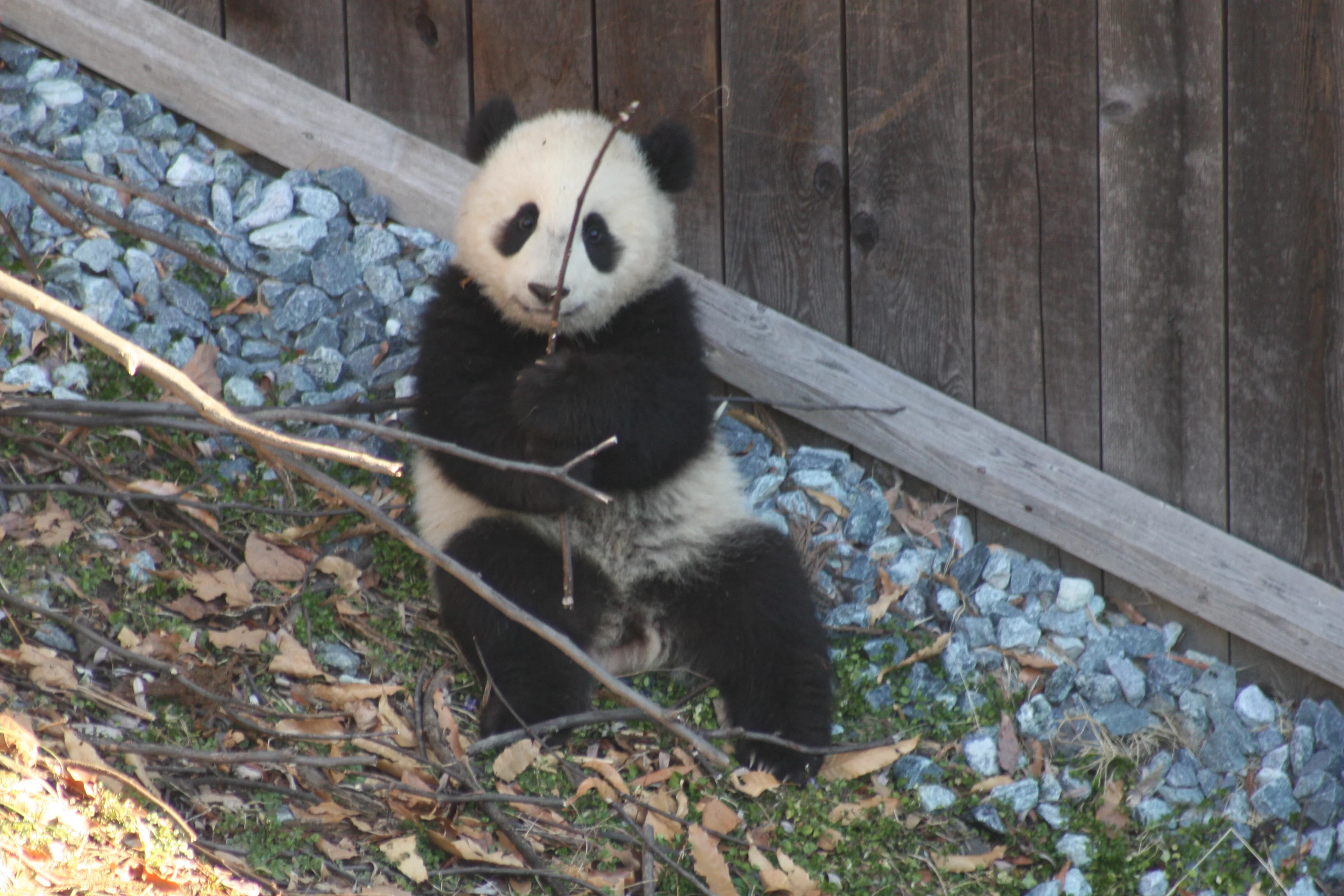 Smithsonian's National Zoo