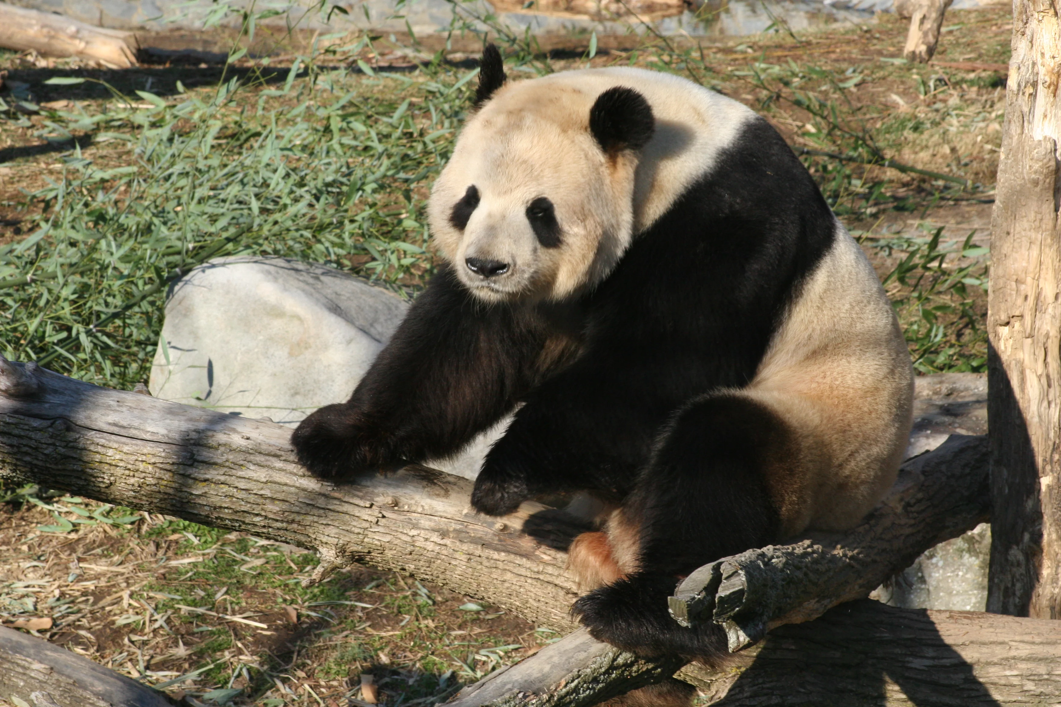 Smithsonian's National Zoo