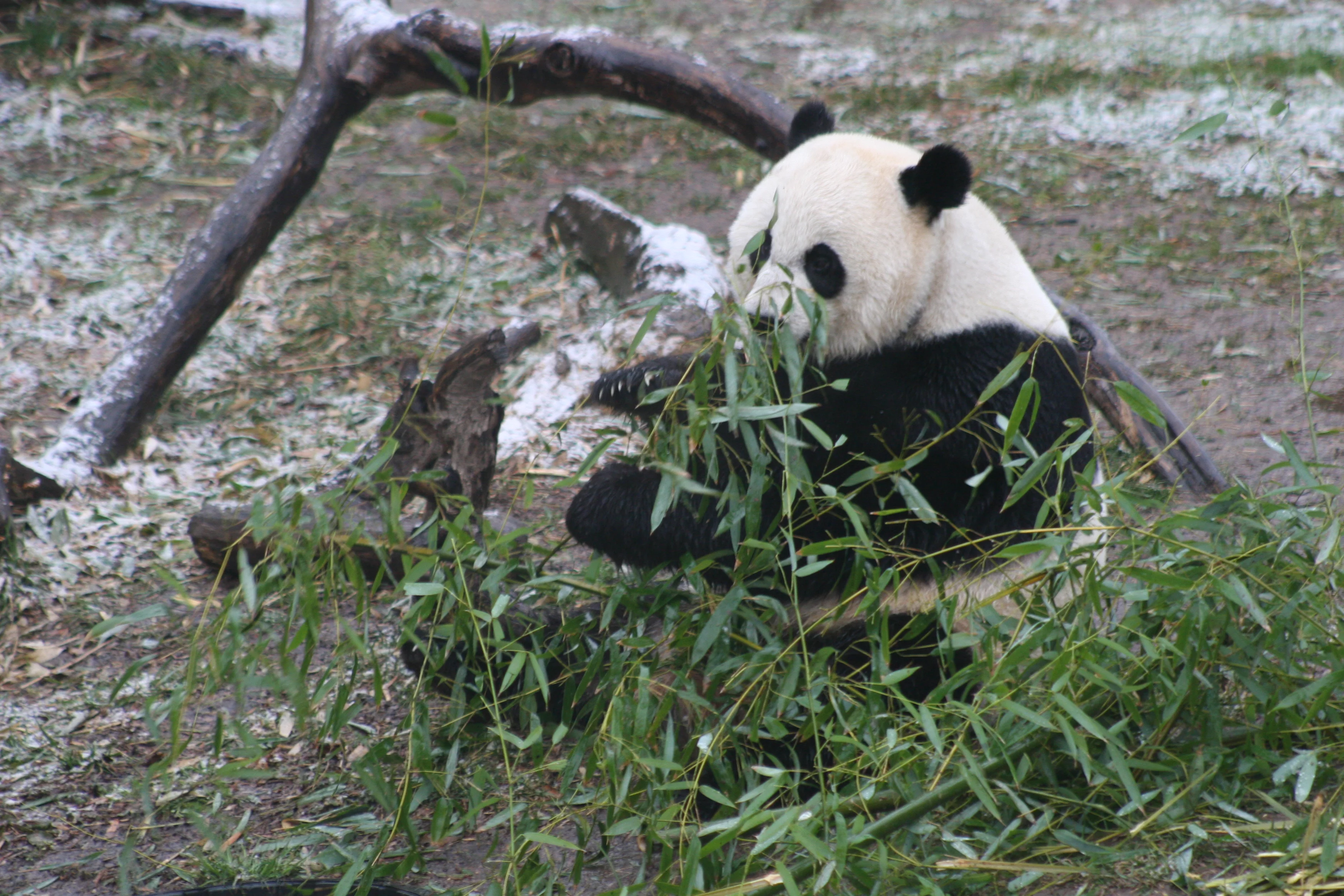 Smithsonian's National Zoo