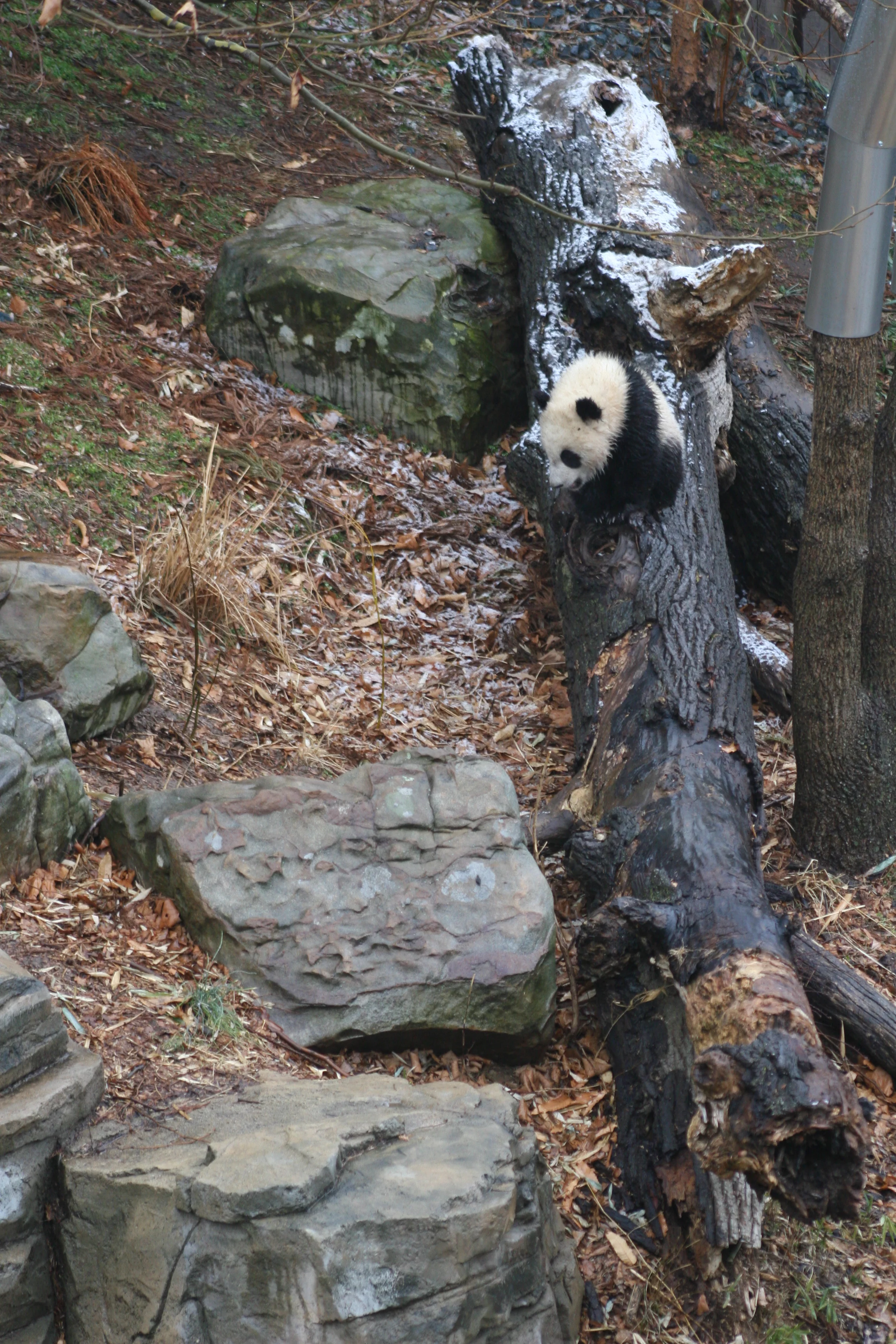Smithsonian's National Zoo