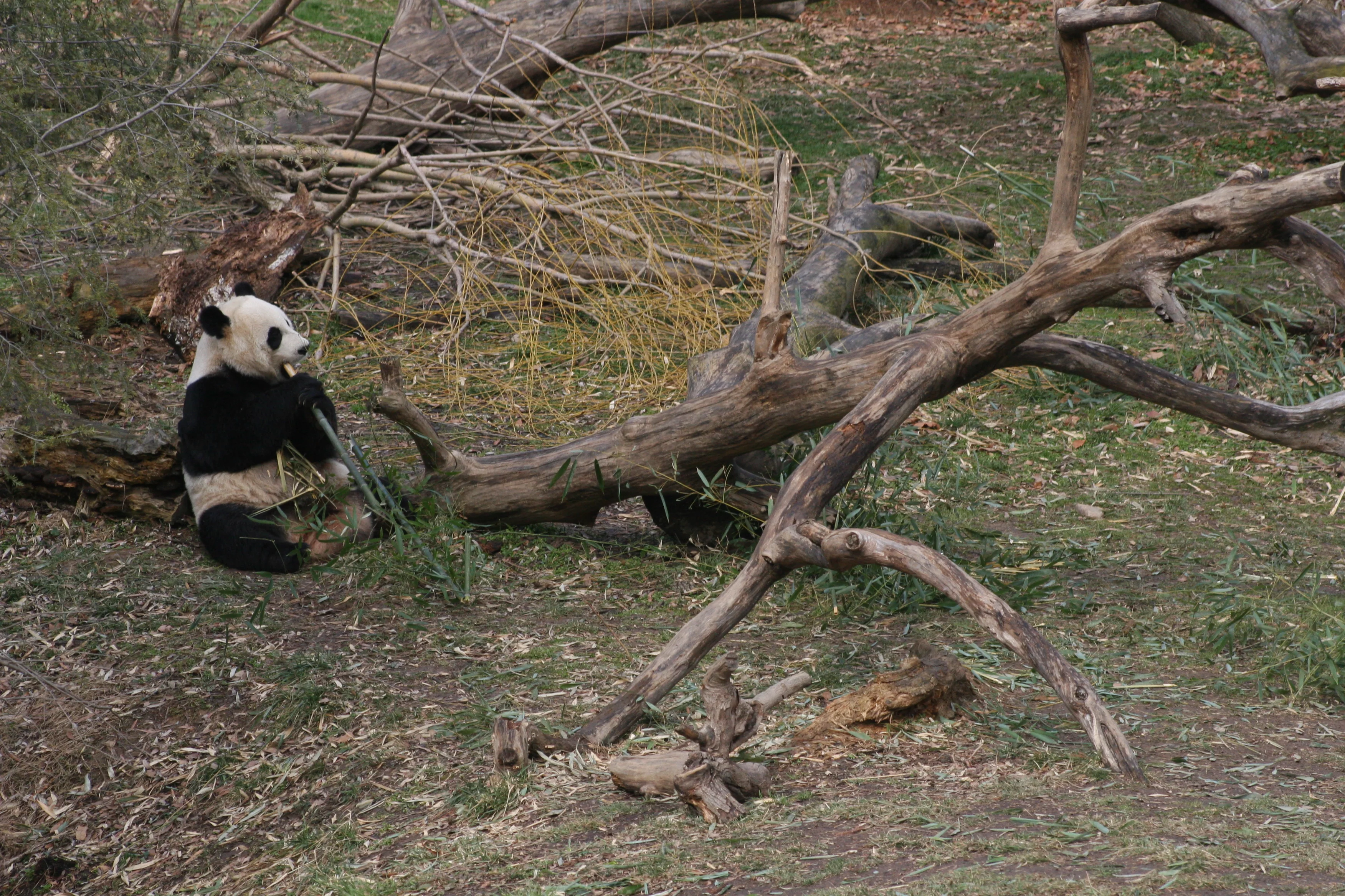 Smithsonian's National Zoo