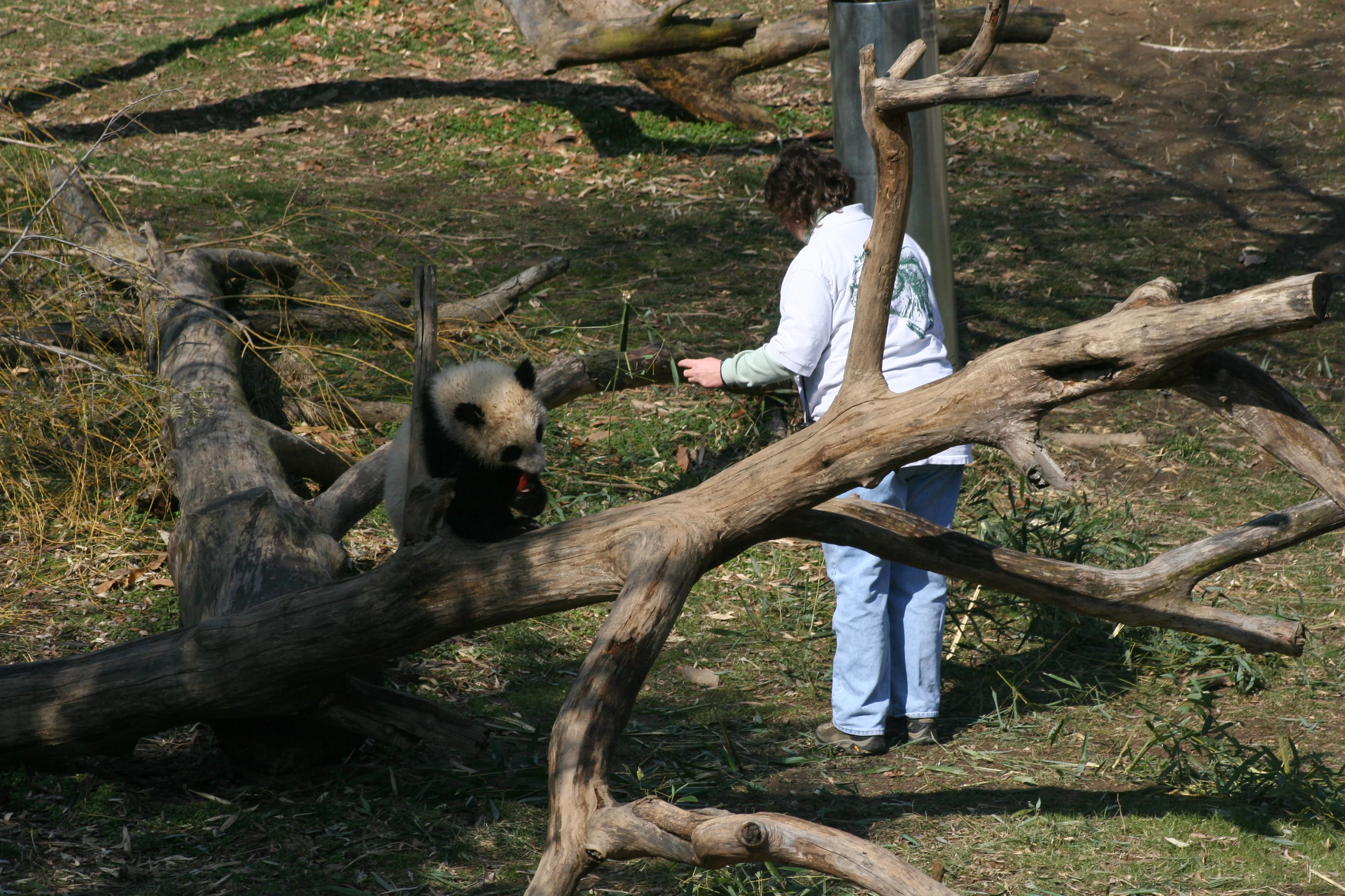 Smithsonian's National Zoo