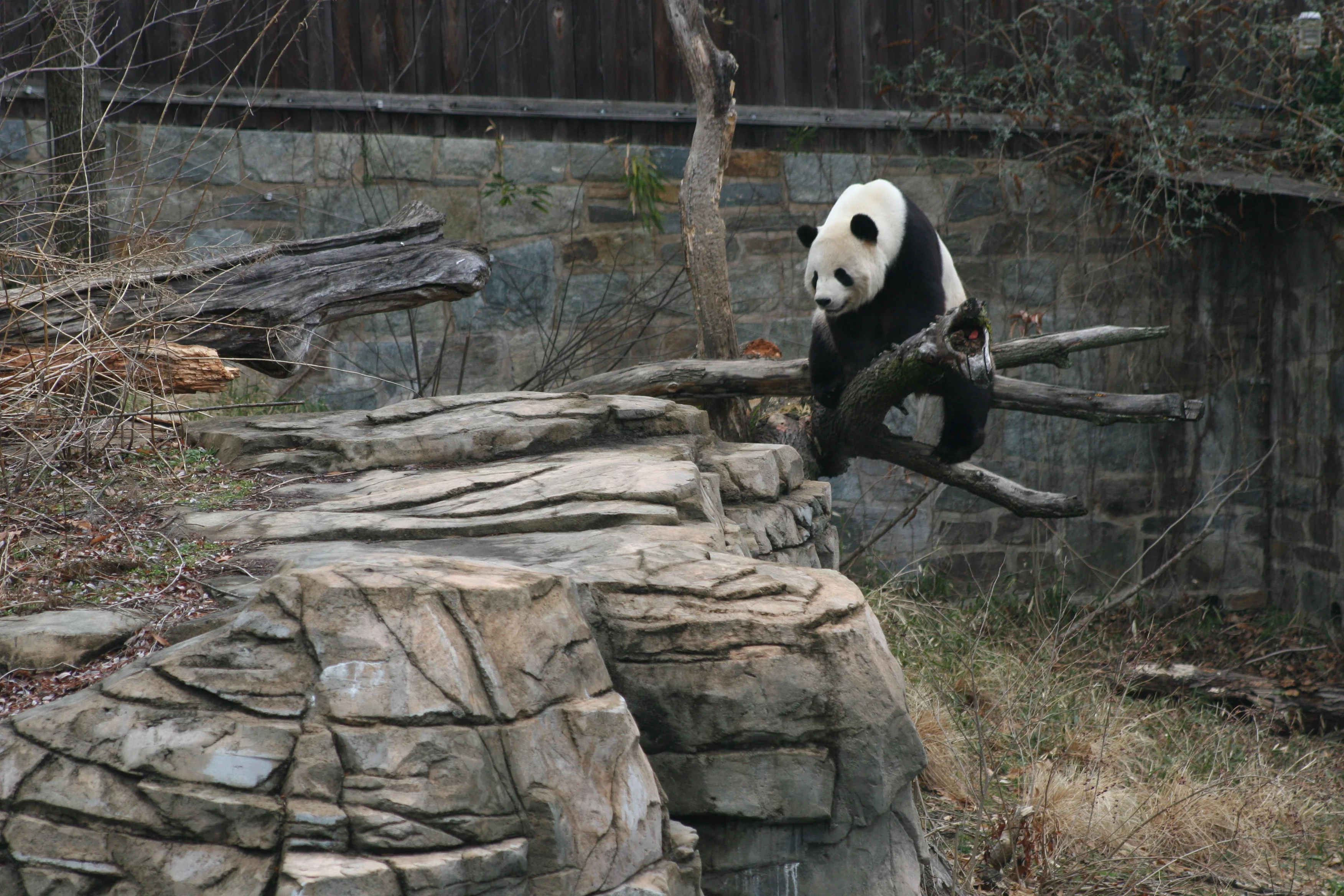 Smithsonian's National Zoo