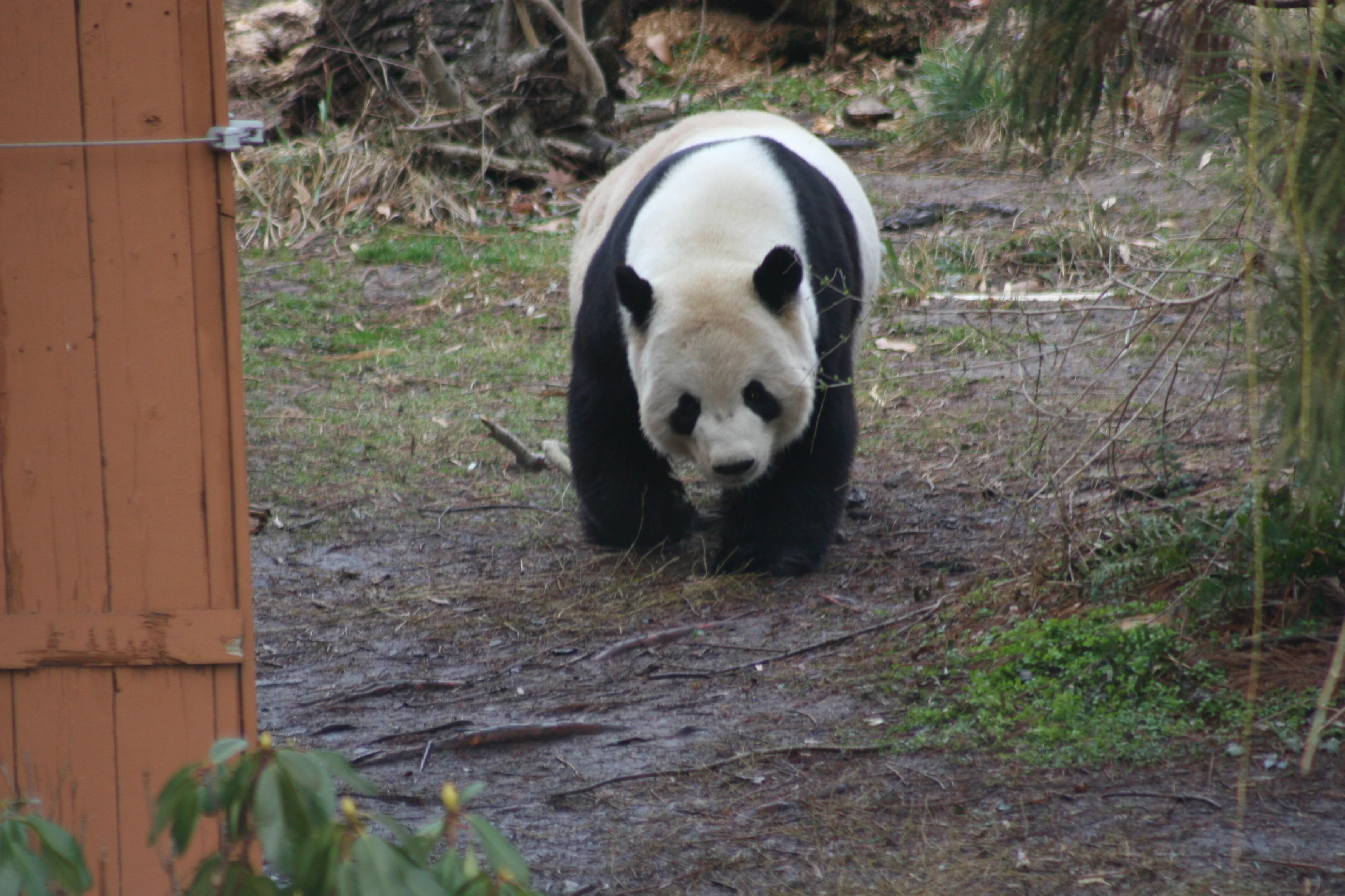Smithsonian's National Zoo