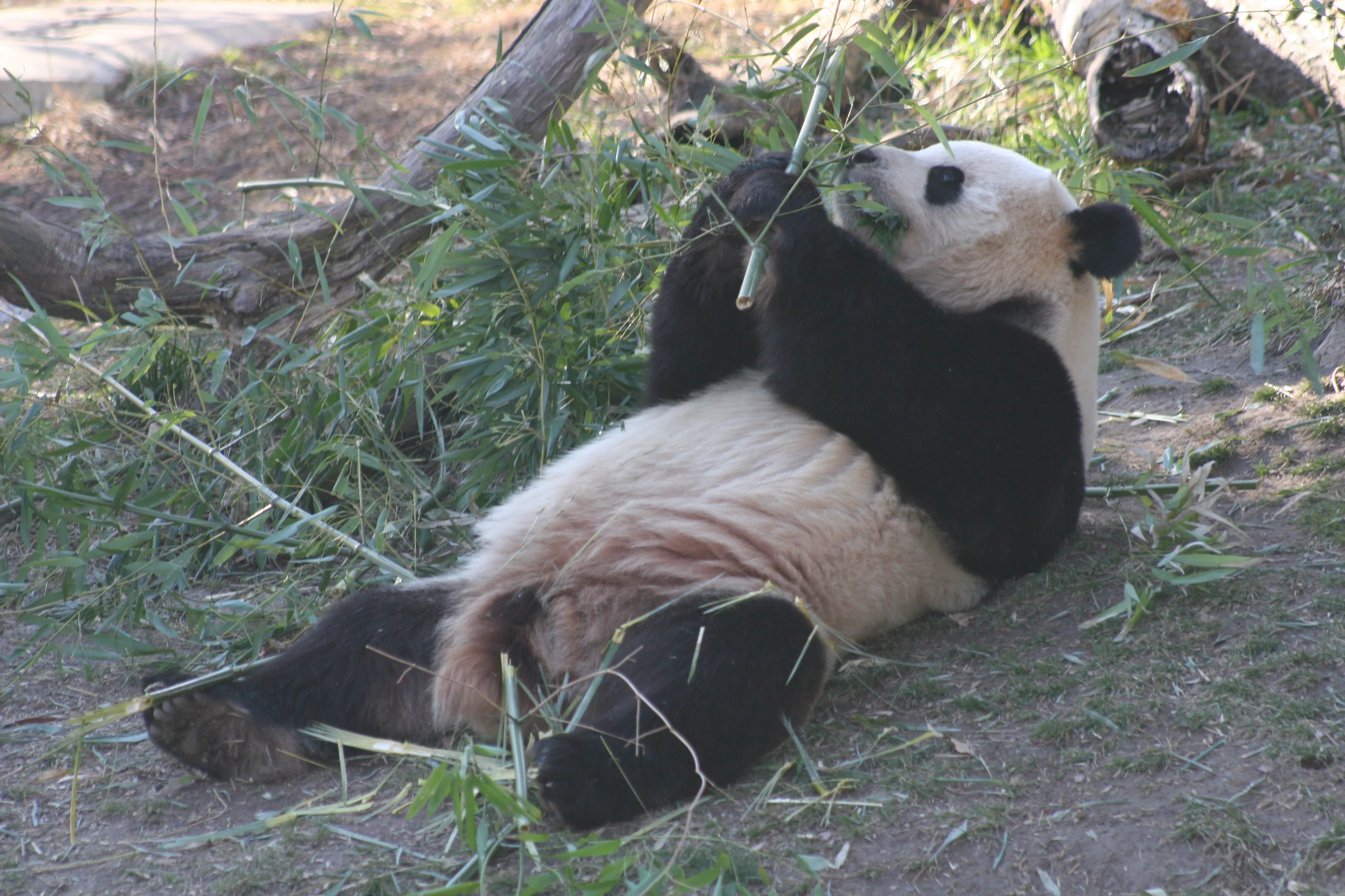 Smithsonian's National Zoo