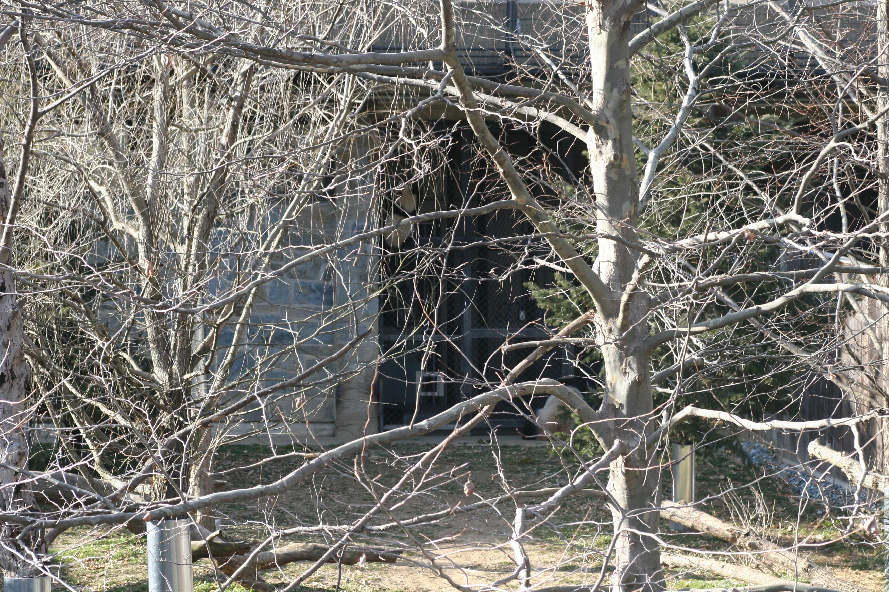 Smithsonian's National Zoo