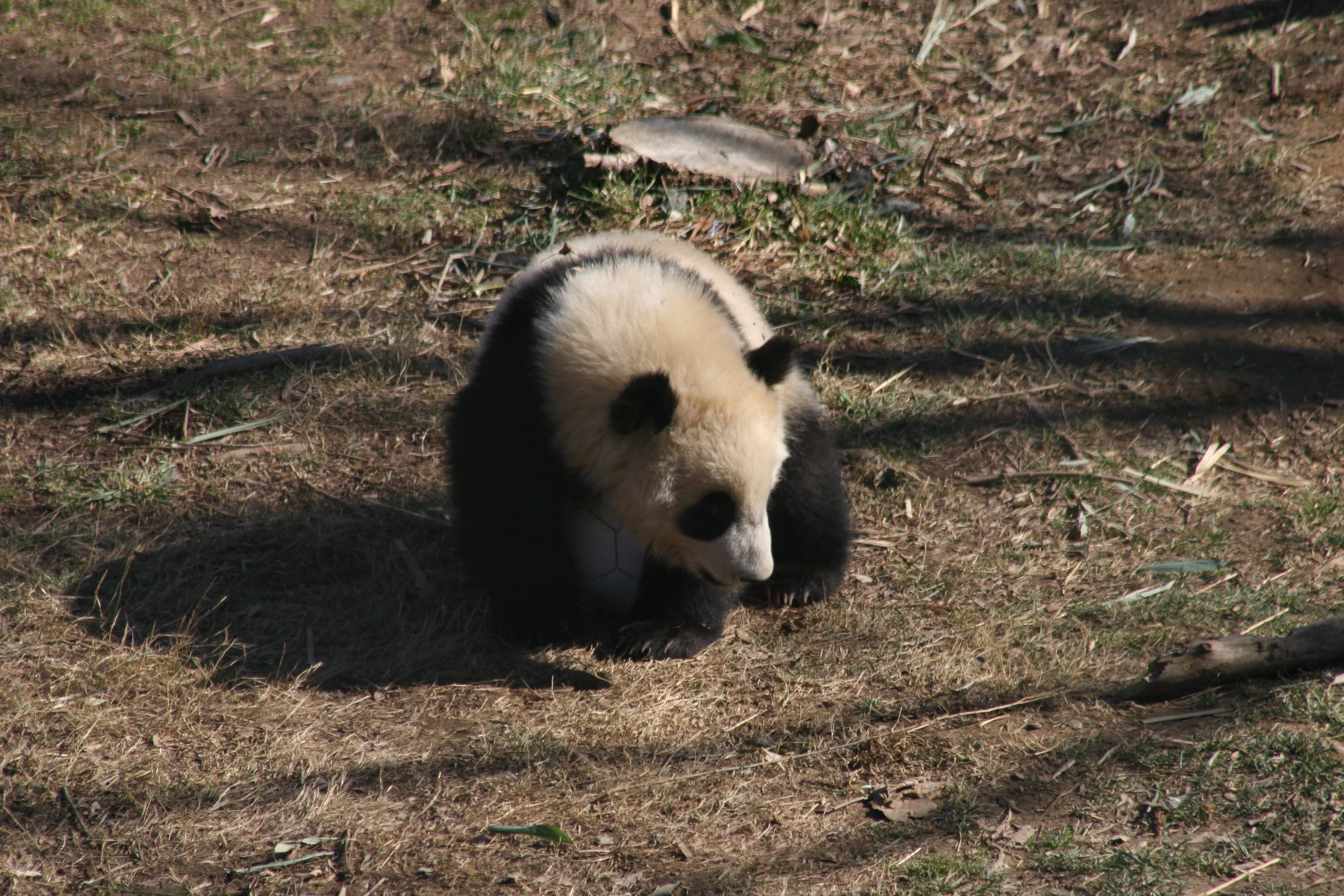 Smithsonian's National Zoo
