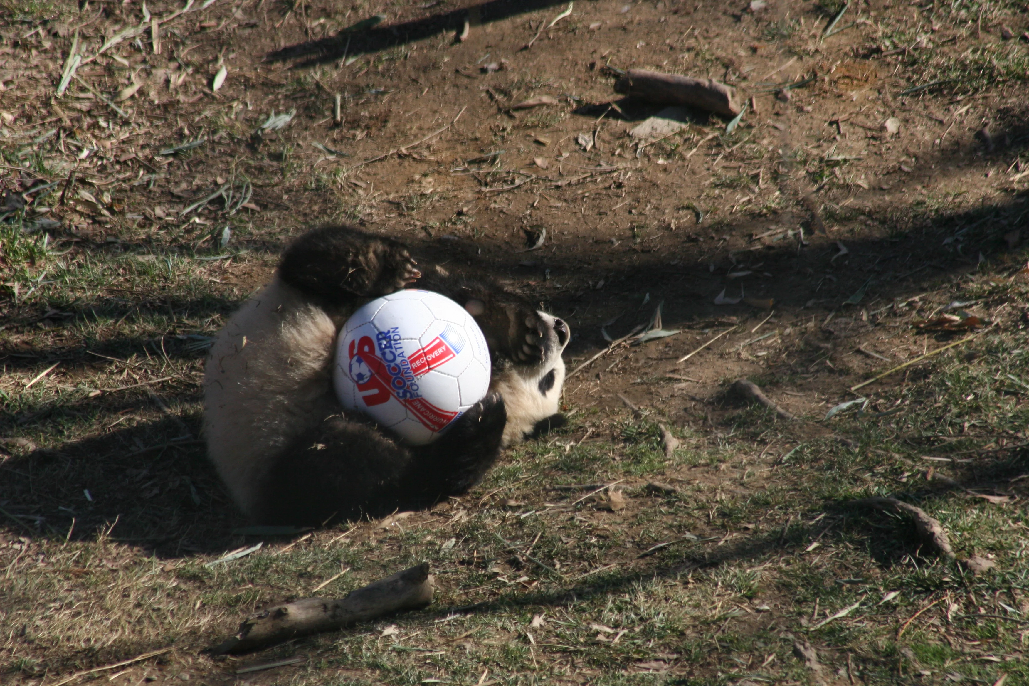 Smithsonian's National Zoo