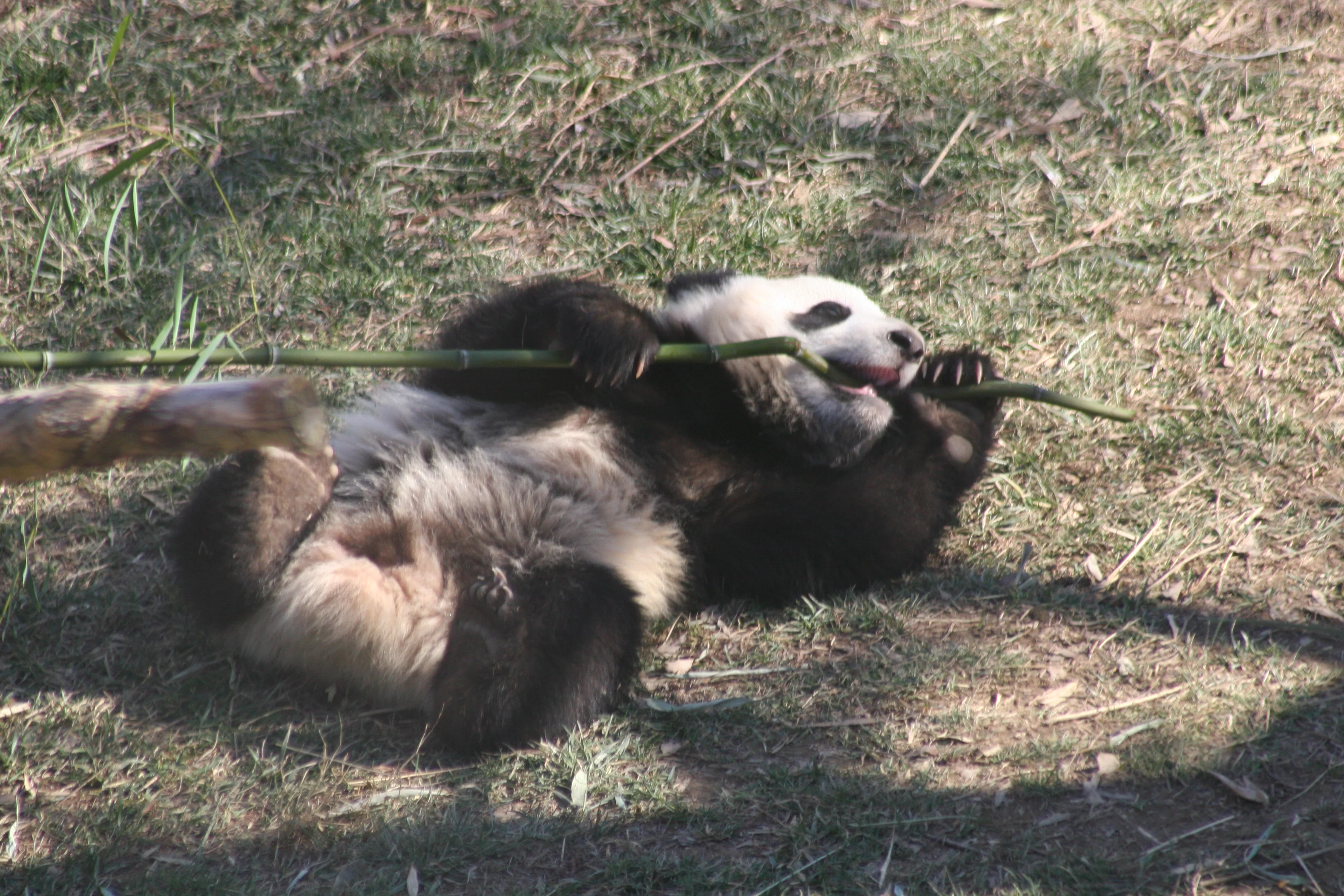 Smithsonian's National Zoo