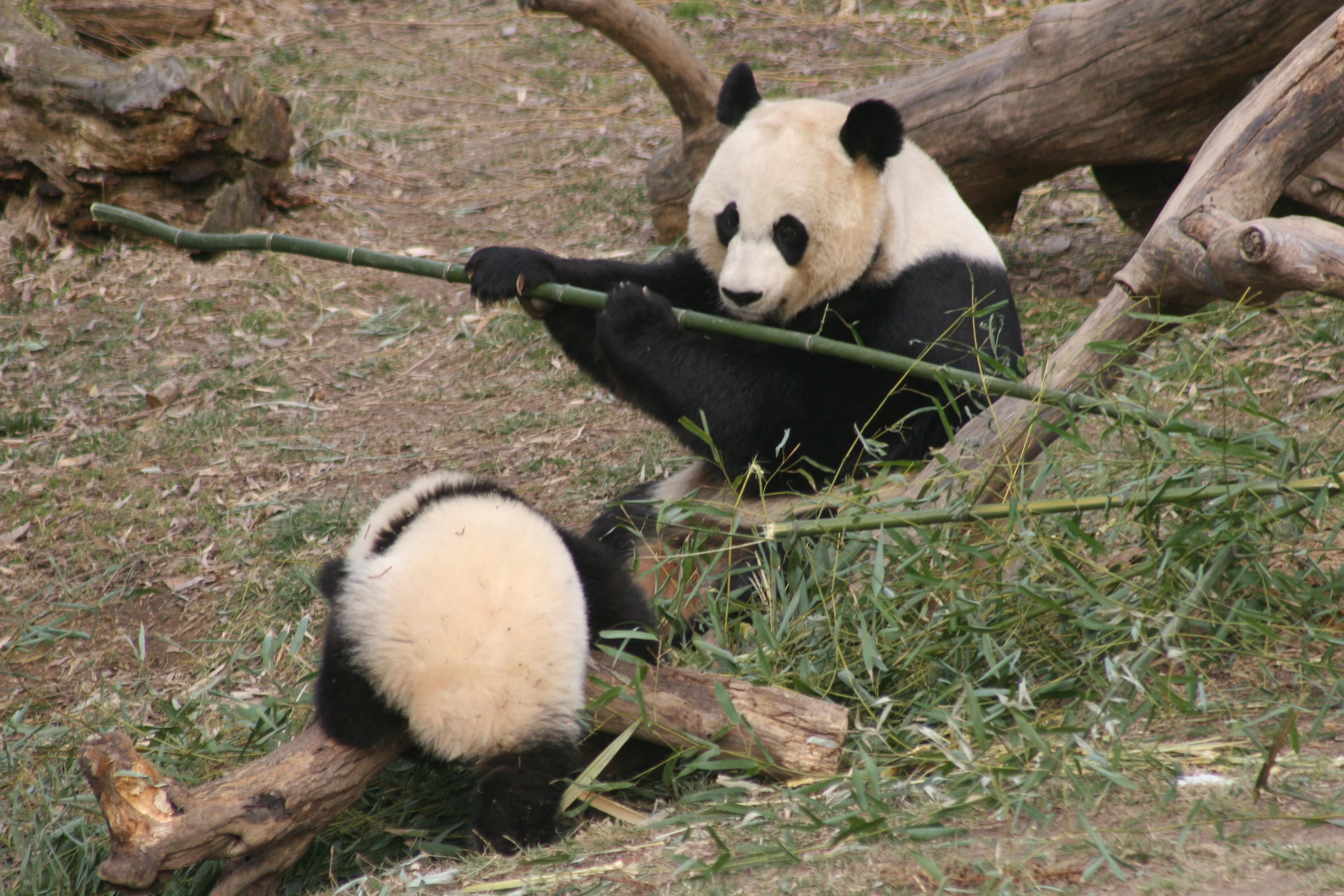 Smithsonian's National Zoo