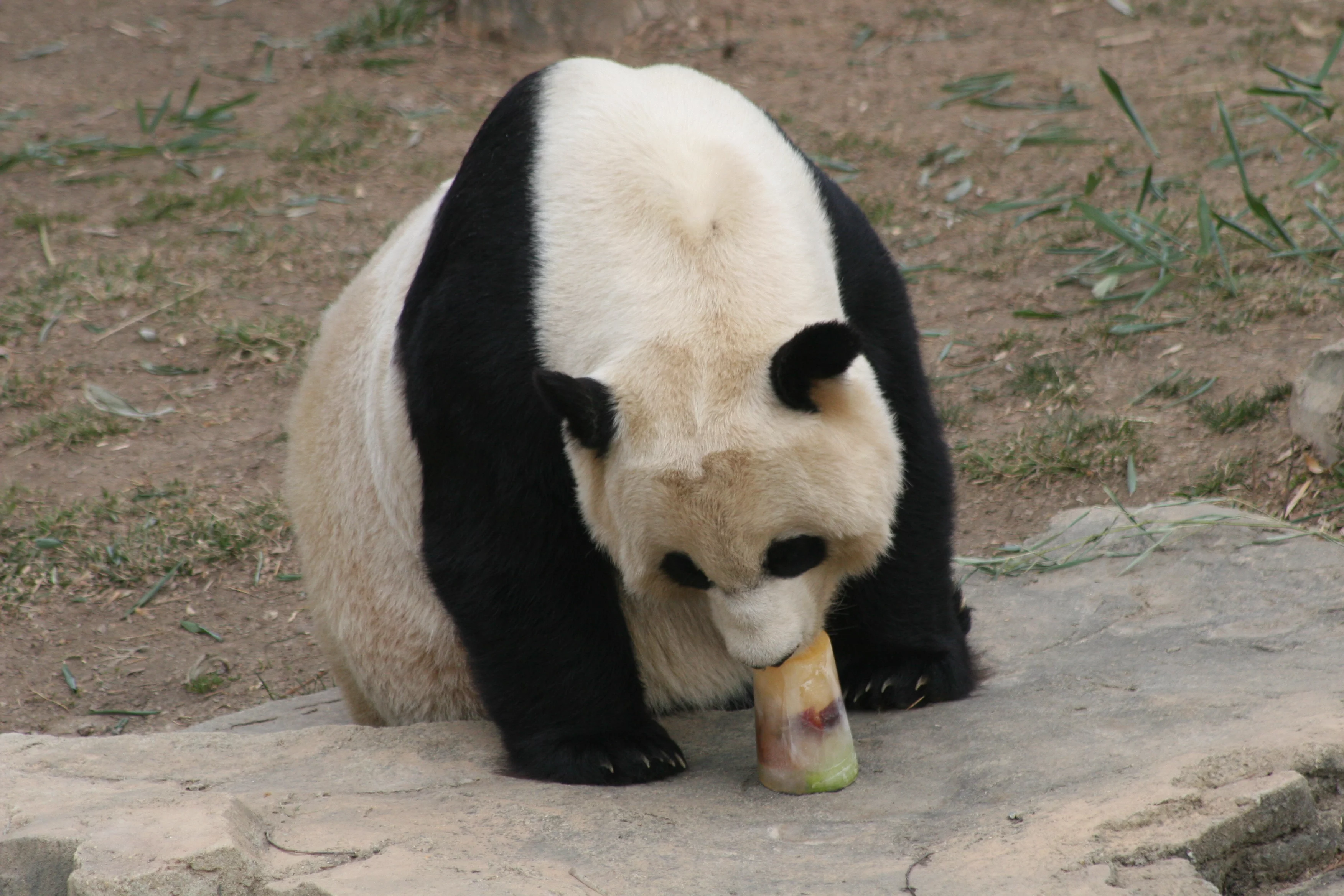 Smithsonian's National Zoo