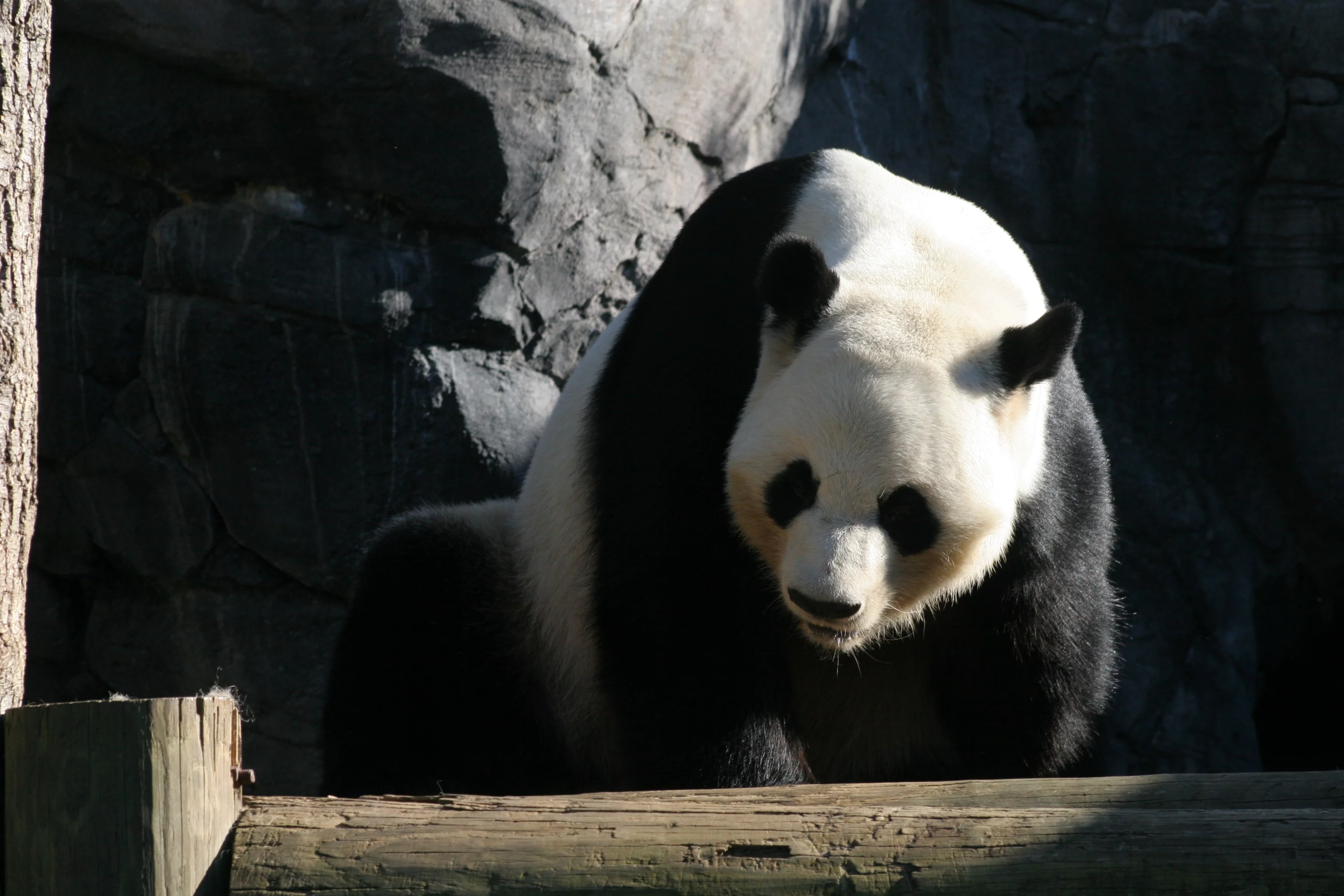 Zoo Atlanta