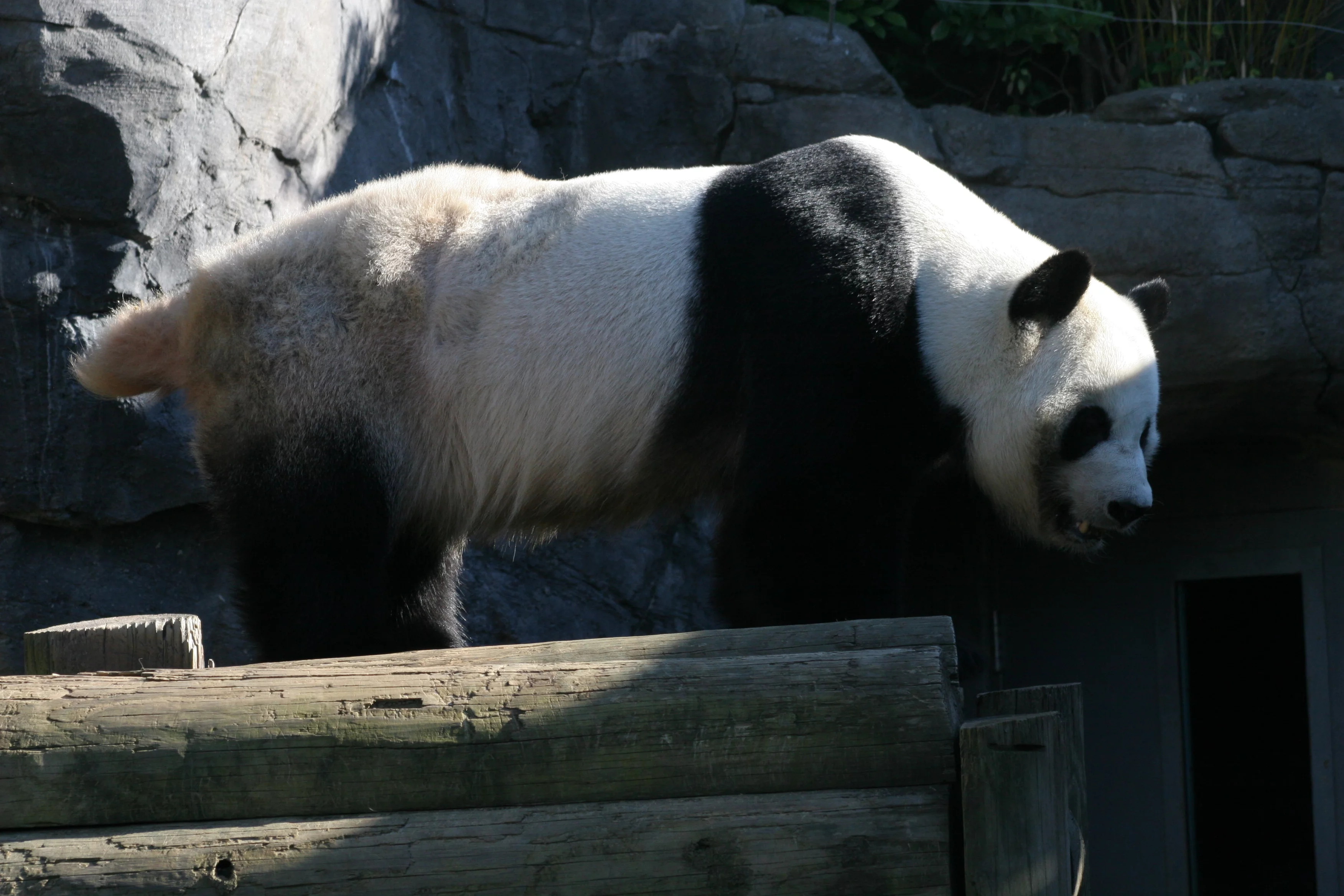 Zoo Atlanta