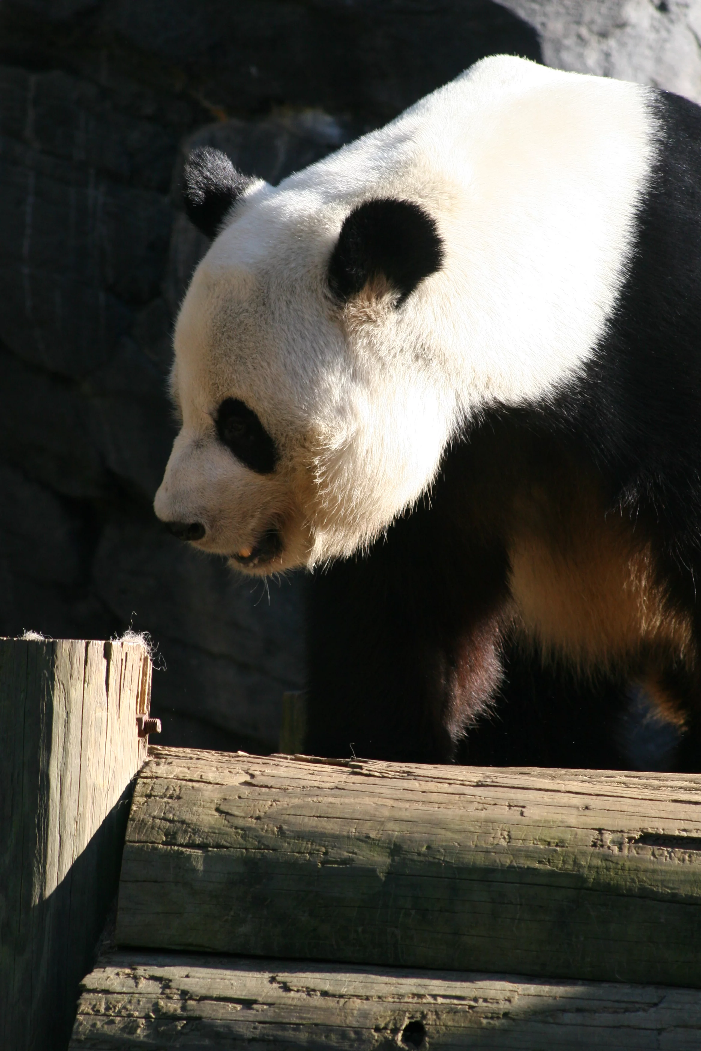 Zoo Atlanta