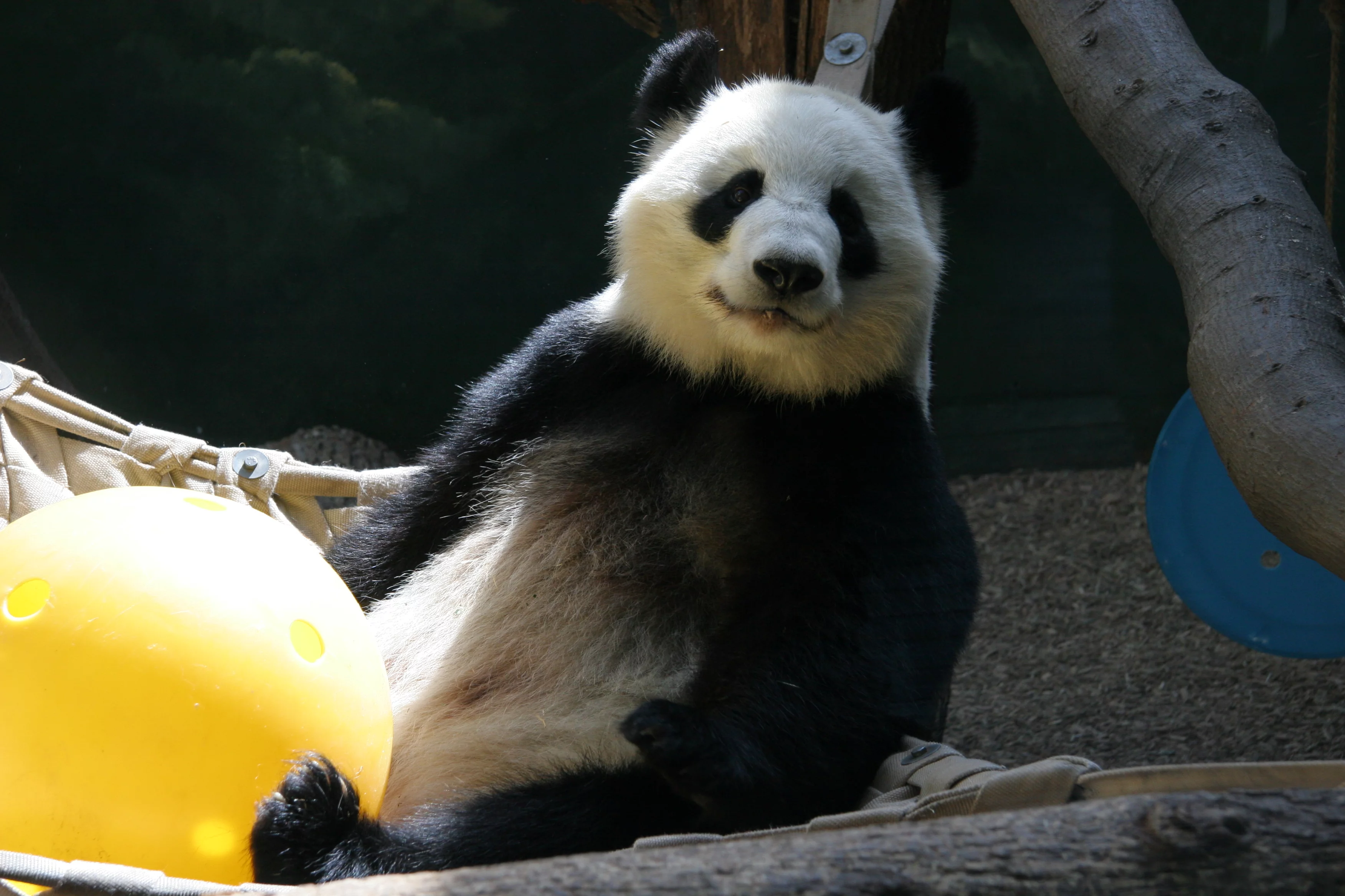 Zoo Atlanta