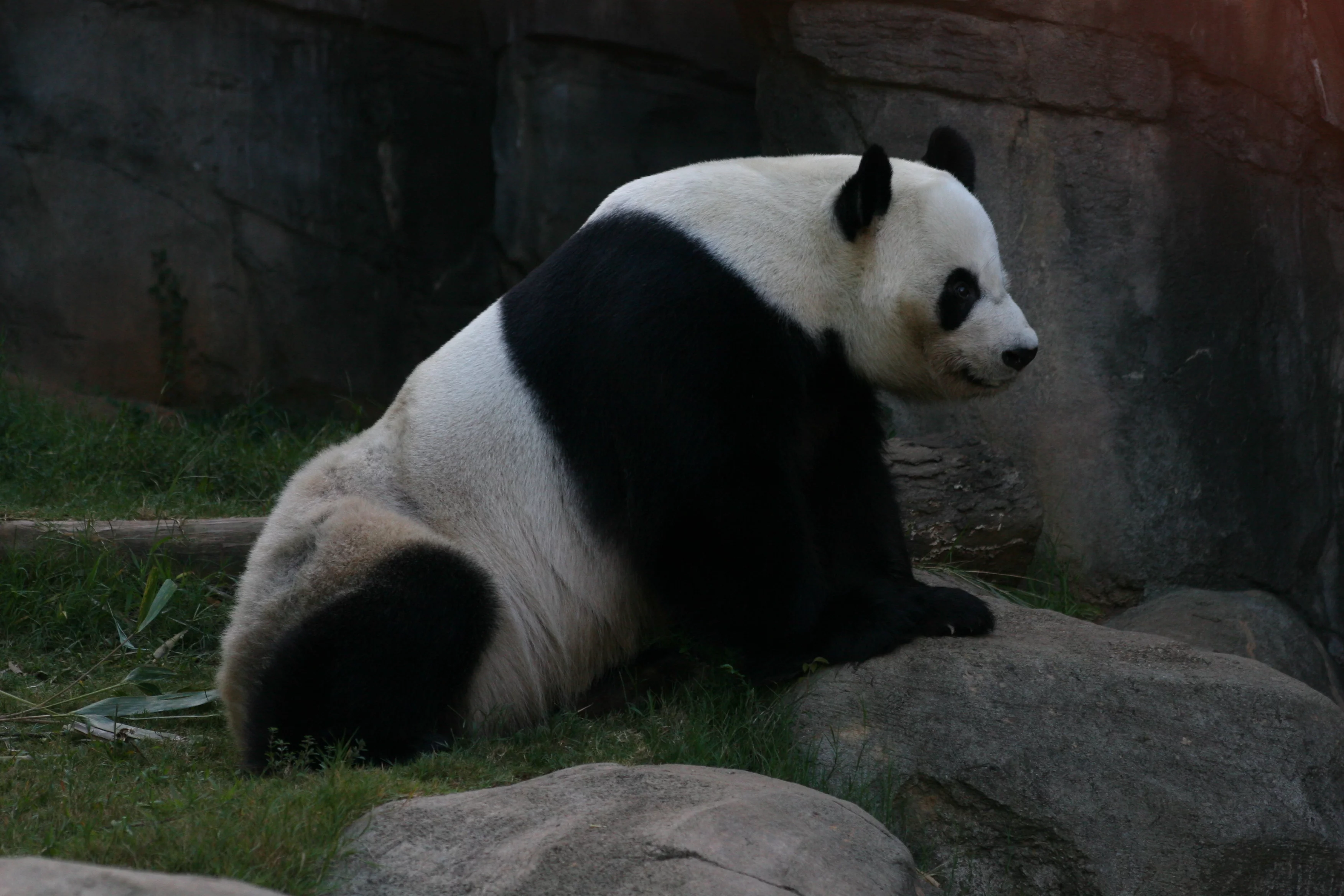 Zoo Atlanta