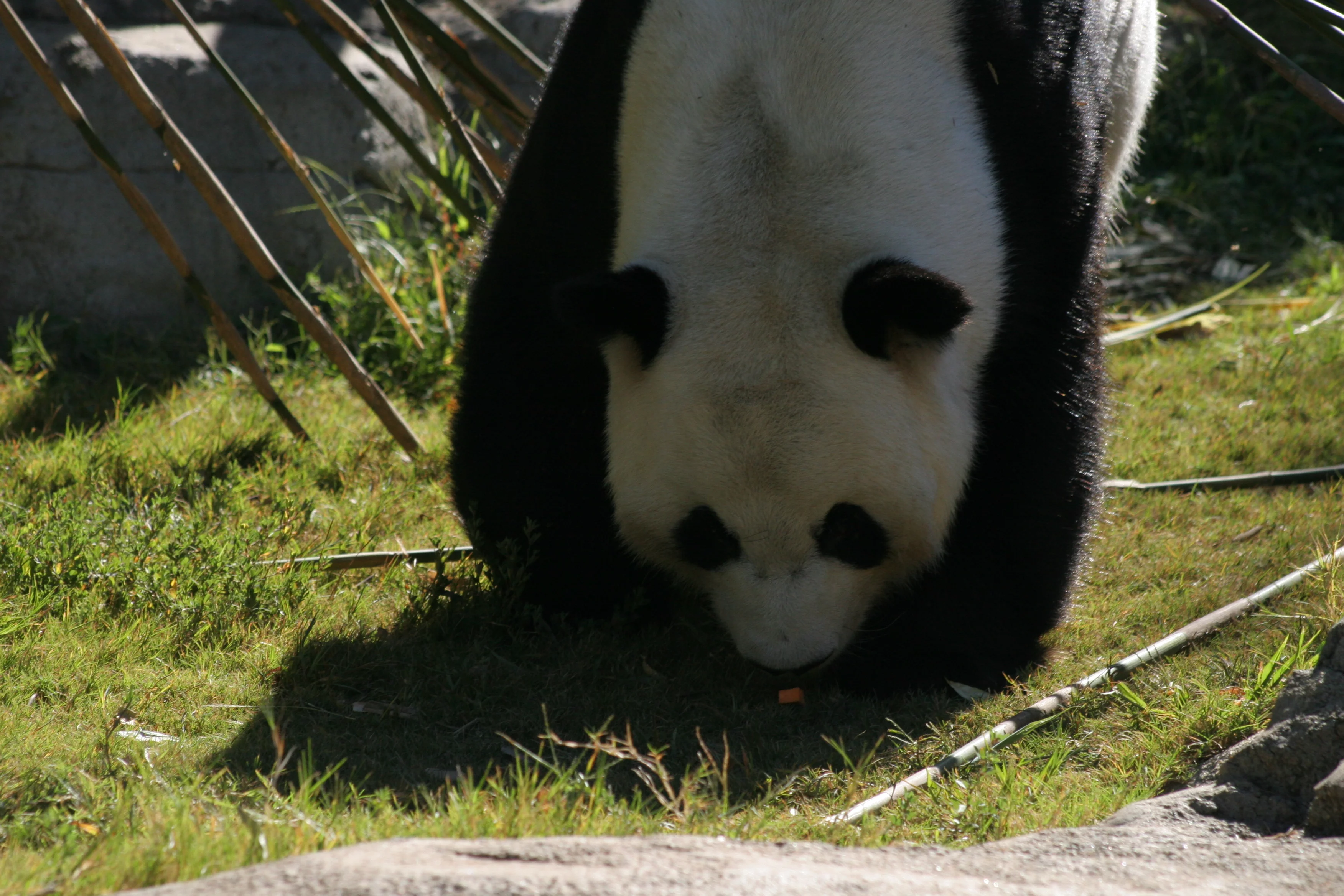Zoo Atlanta