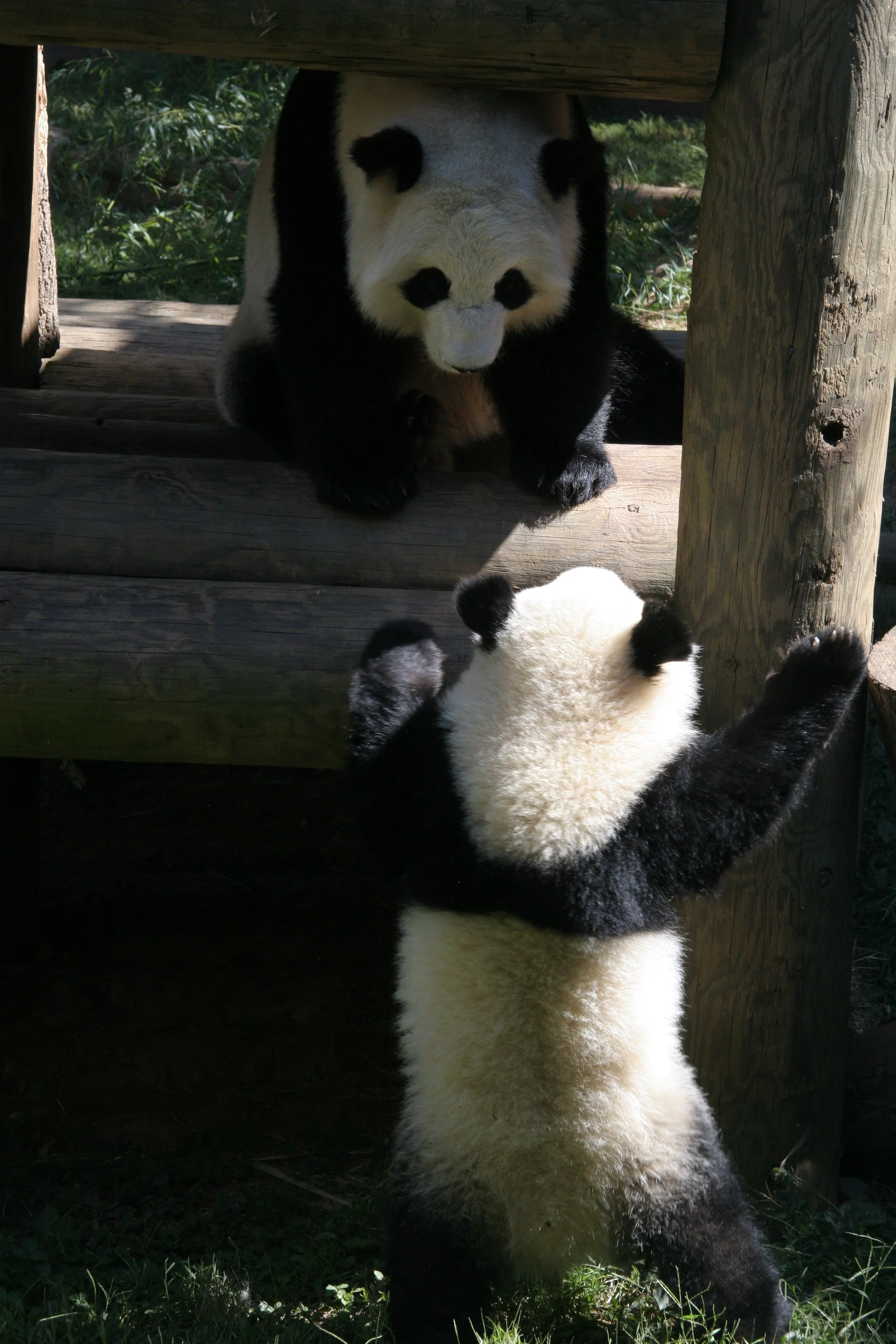 Zoo Atlanta