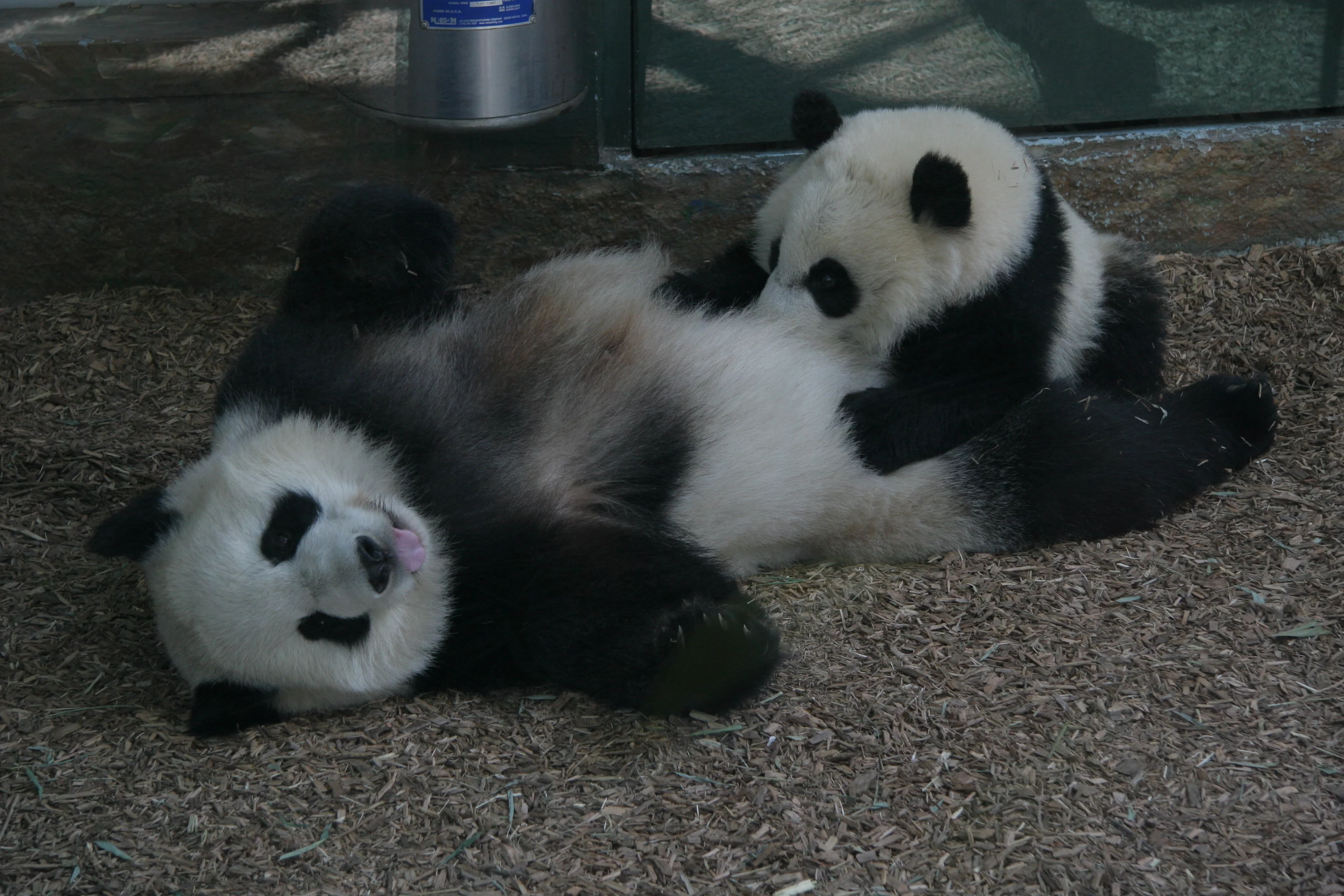 Zoo Atlanta