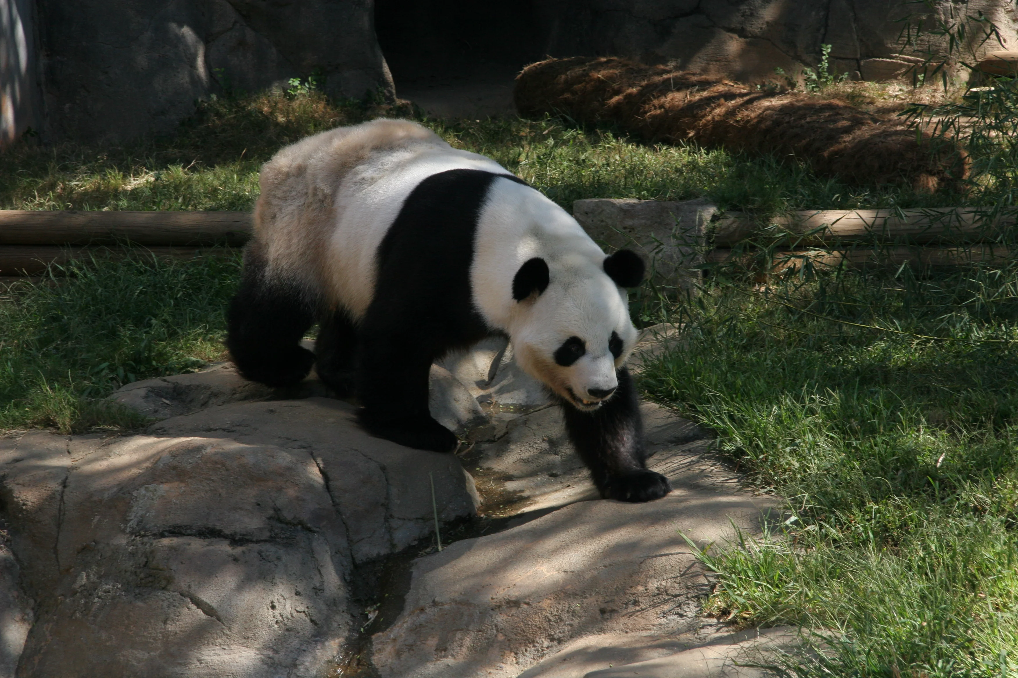 Zoo Atlanta