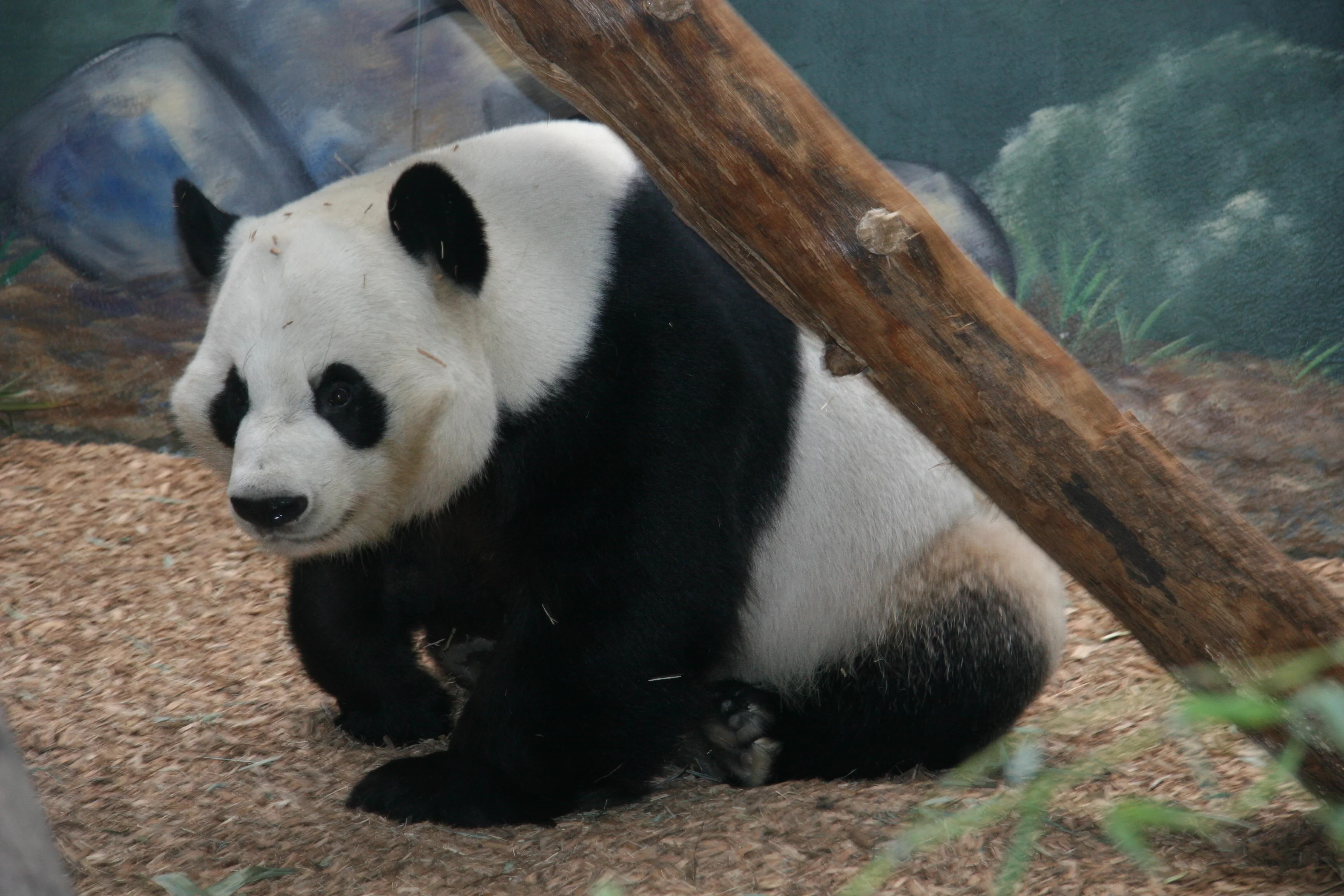 Zoo Atlanta