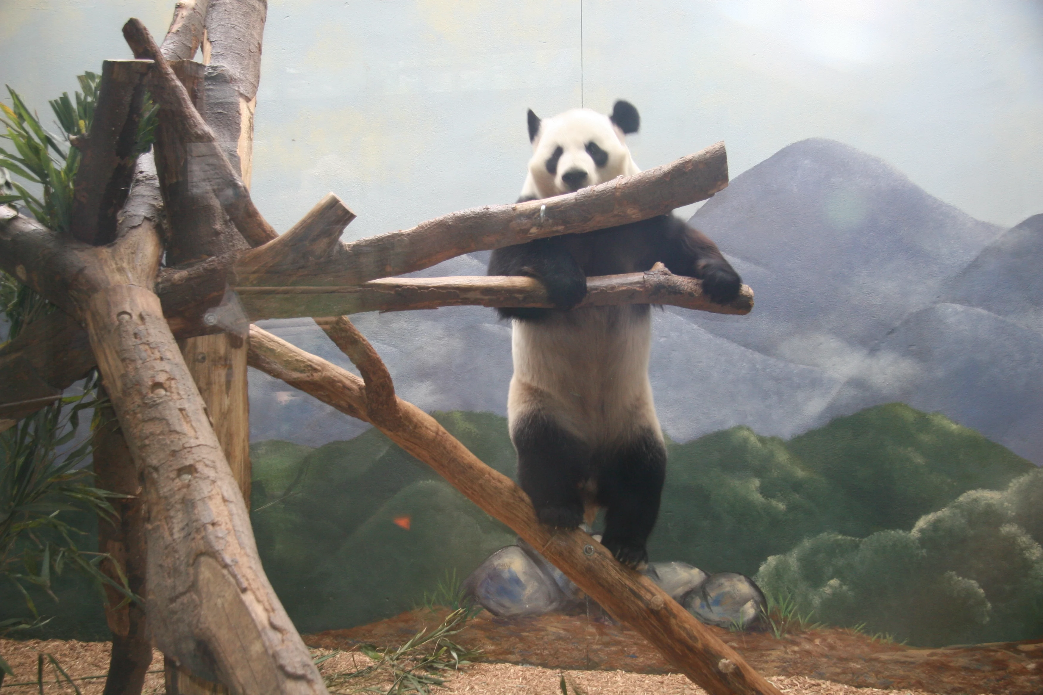 Zoo Atlanta