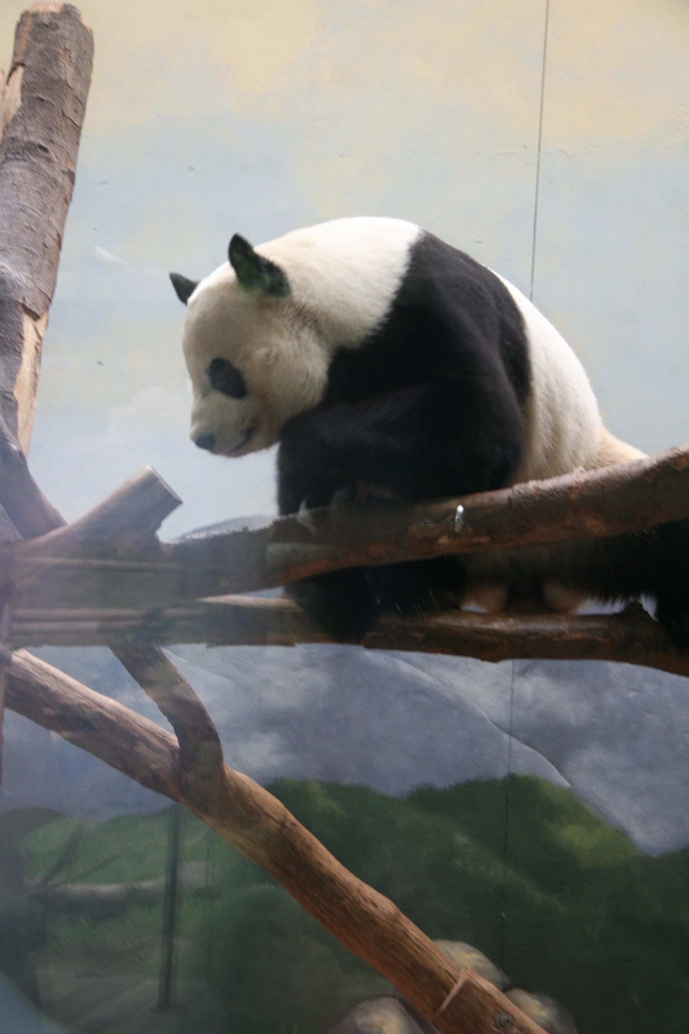 Zoo Atlanta