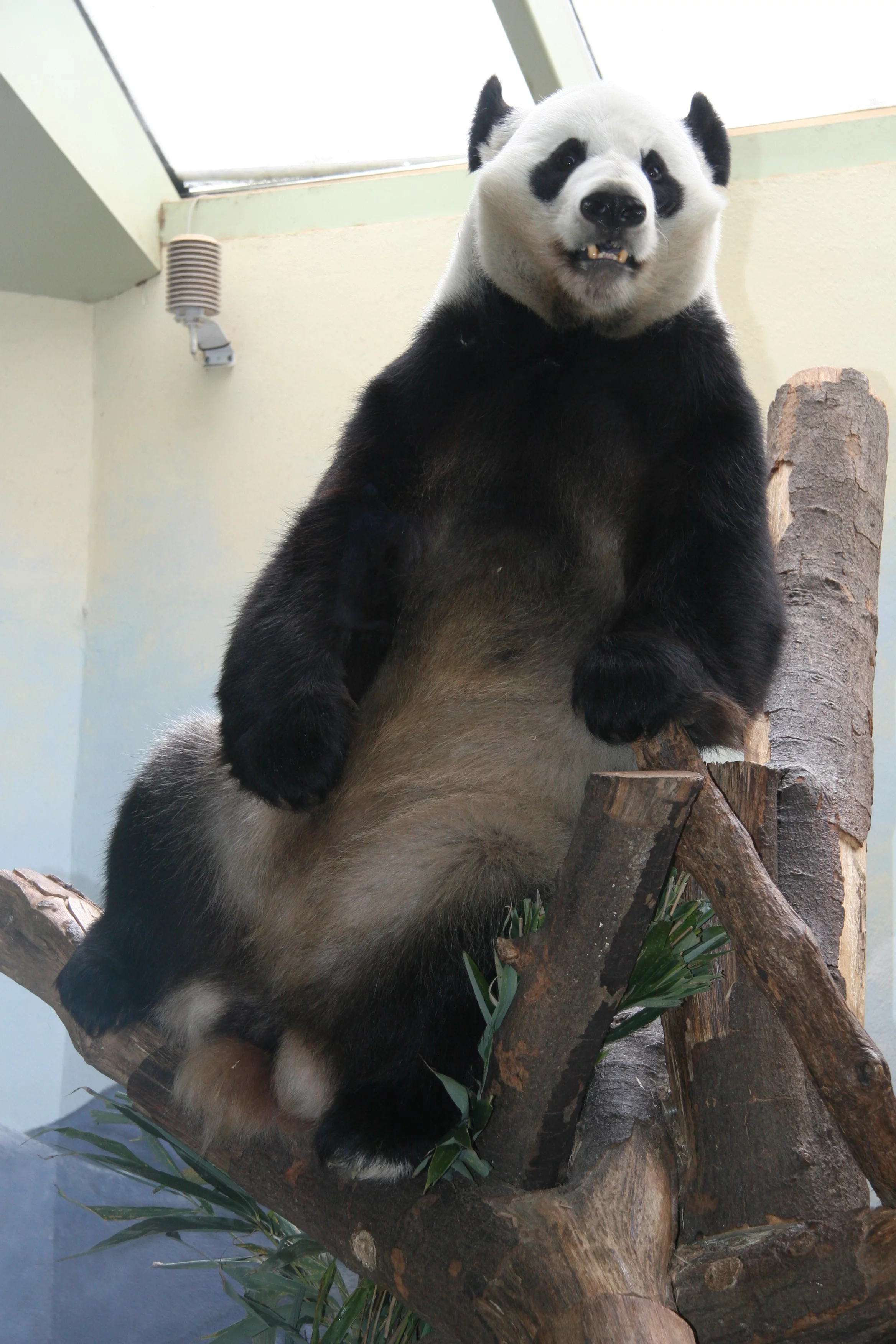 Zoo Atlanta
