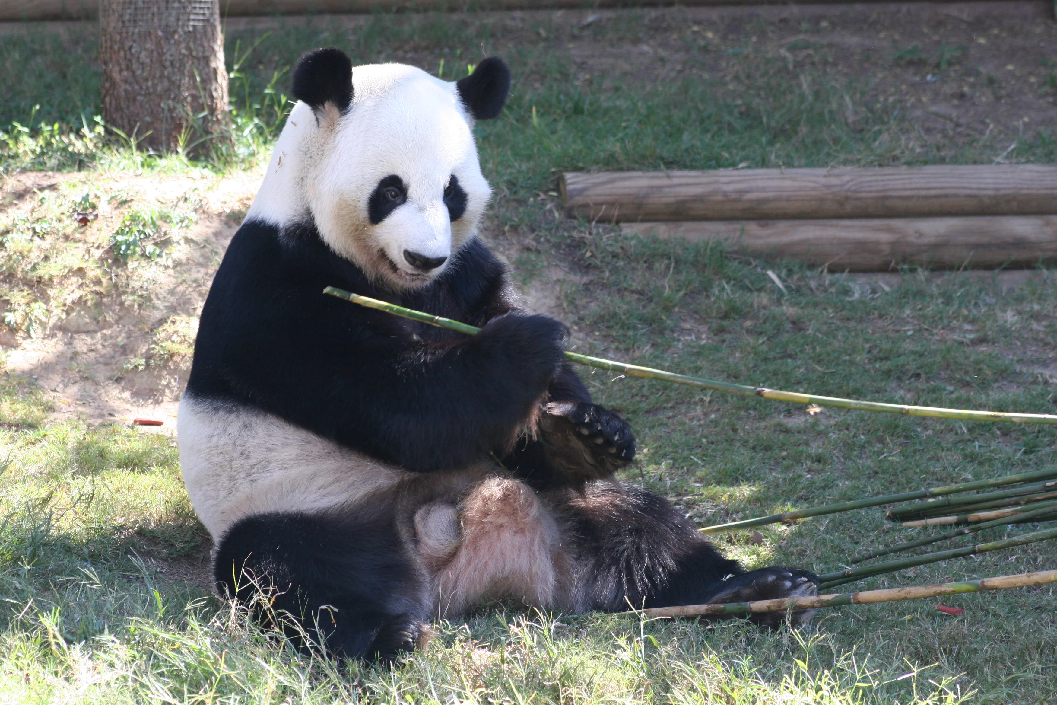 Zoo Atlanta