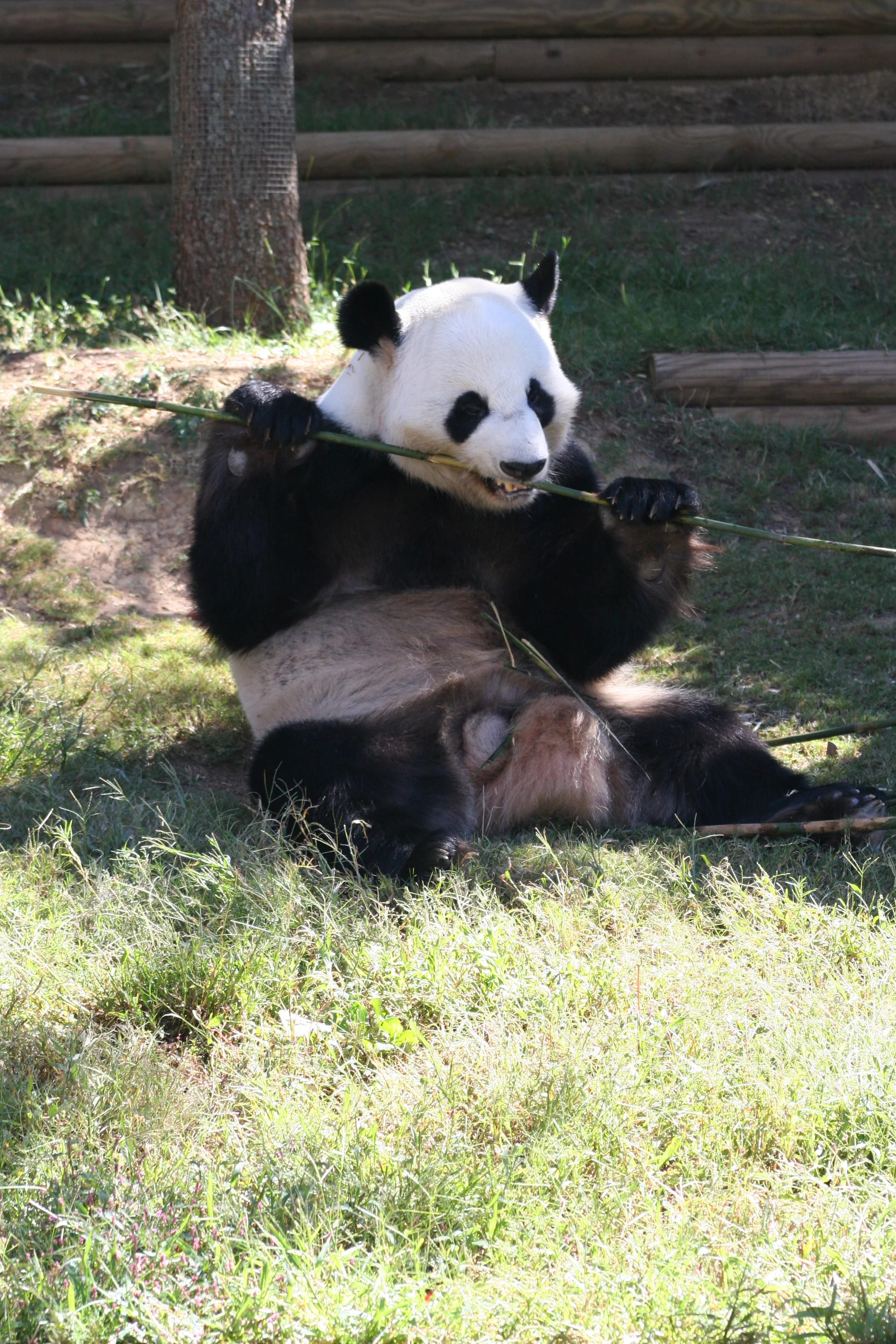 Zoo Atlanta