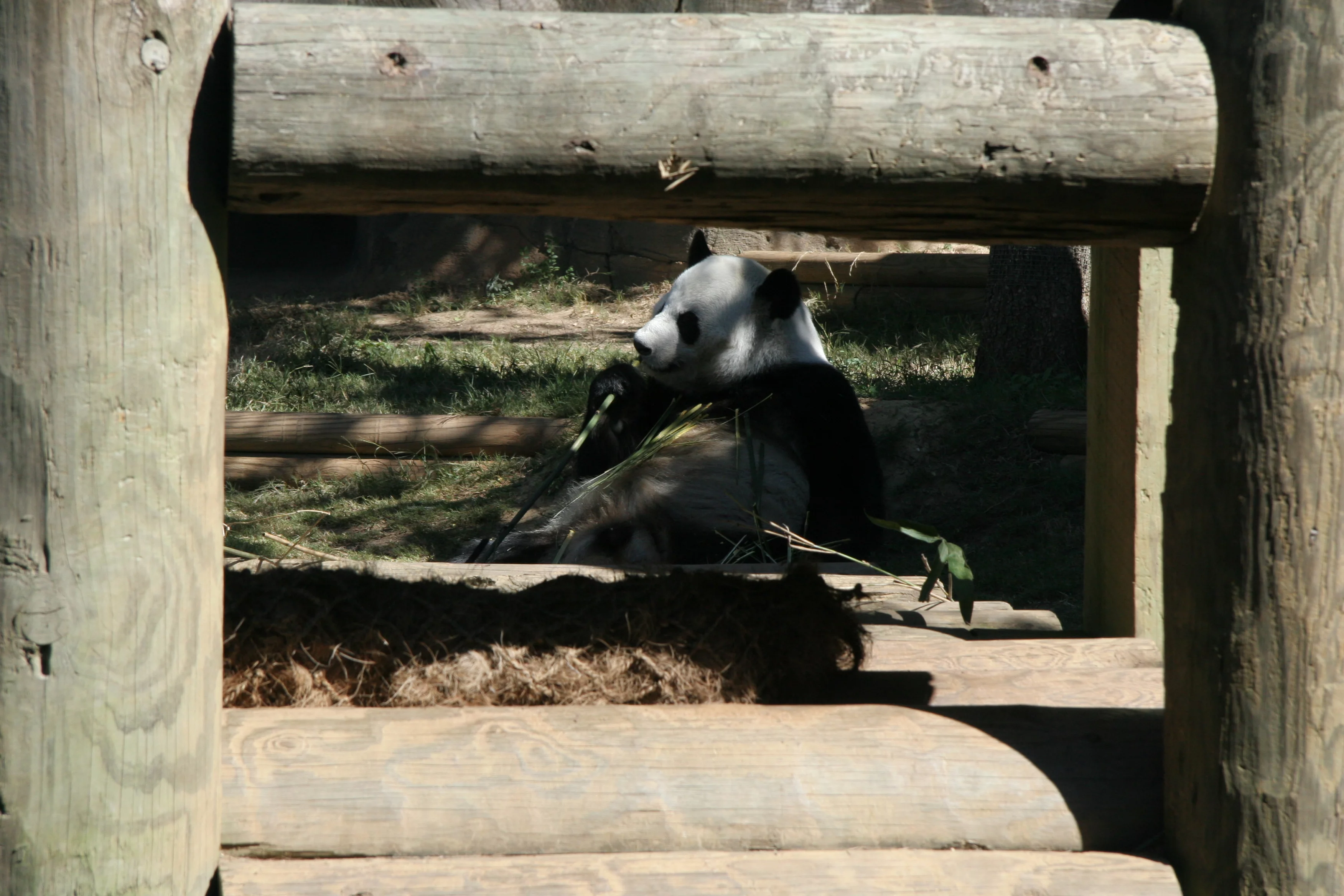 Zoo Atlanta