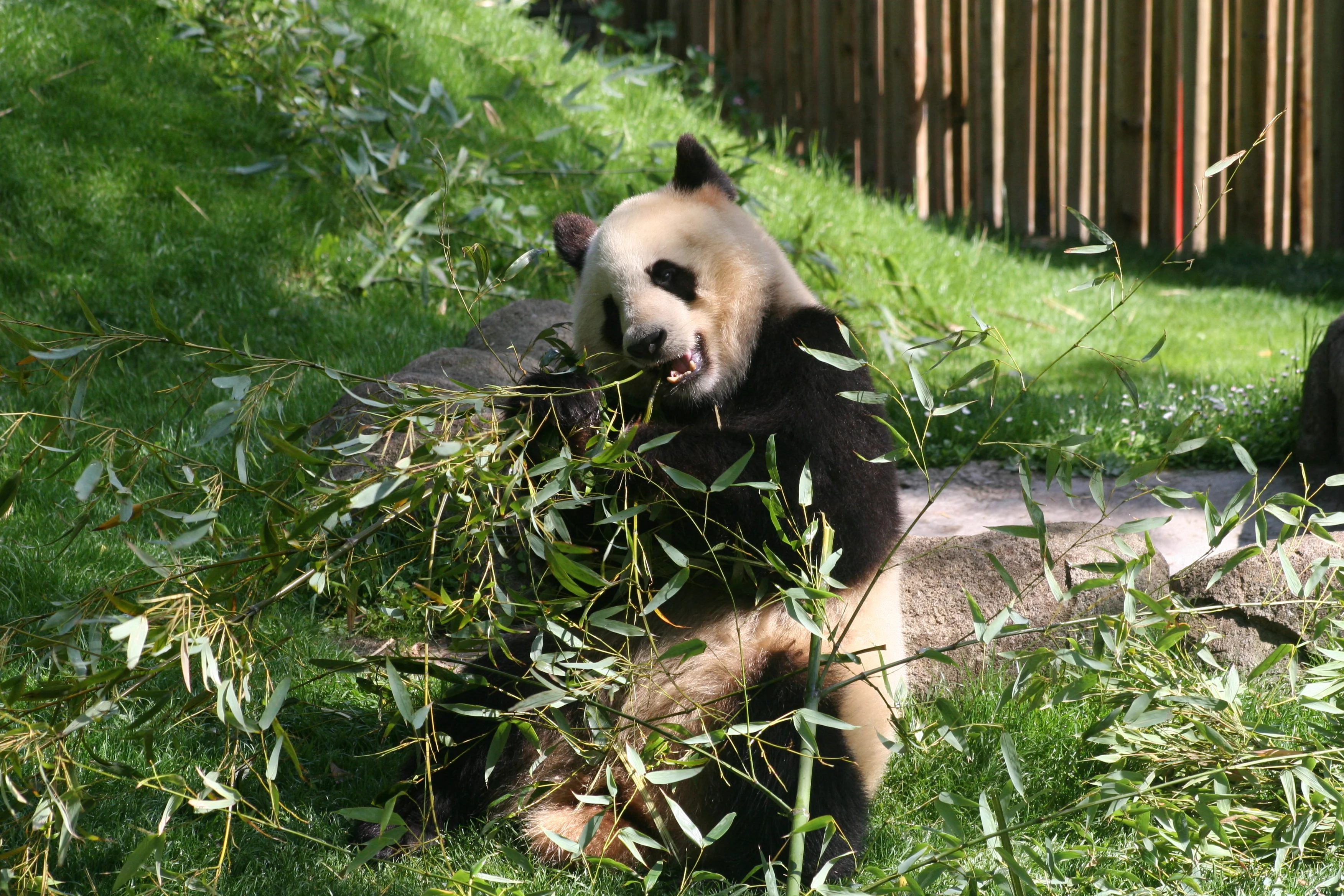 Zoo Madrid