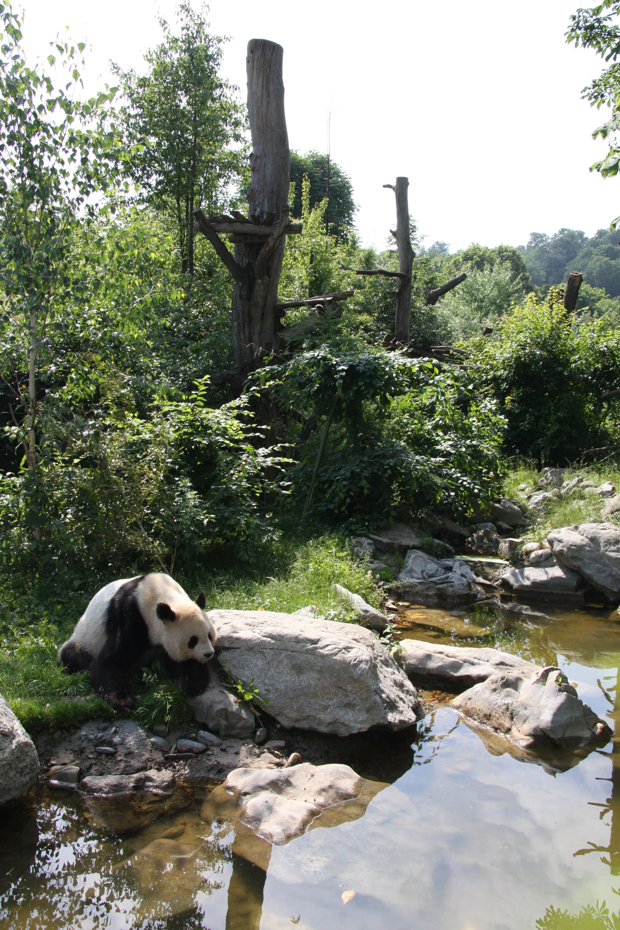 Tiergarten Schönbrunn