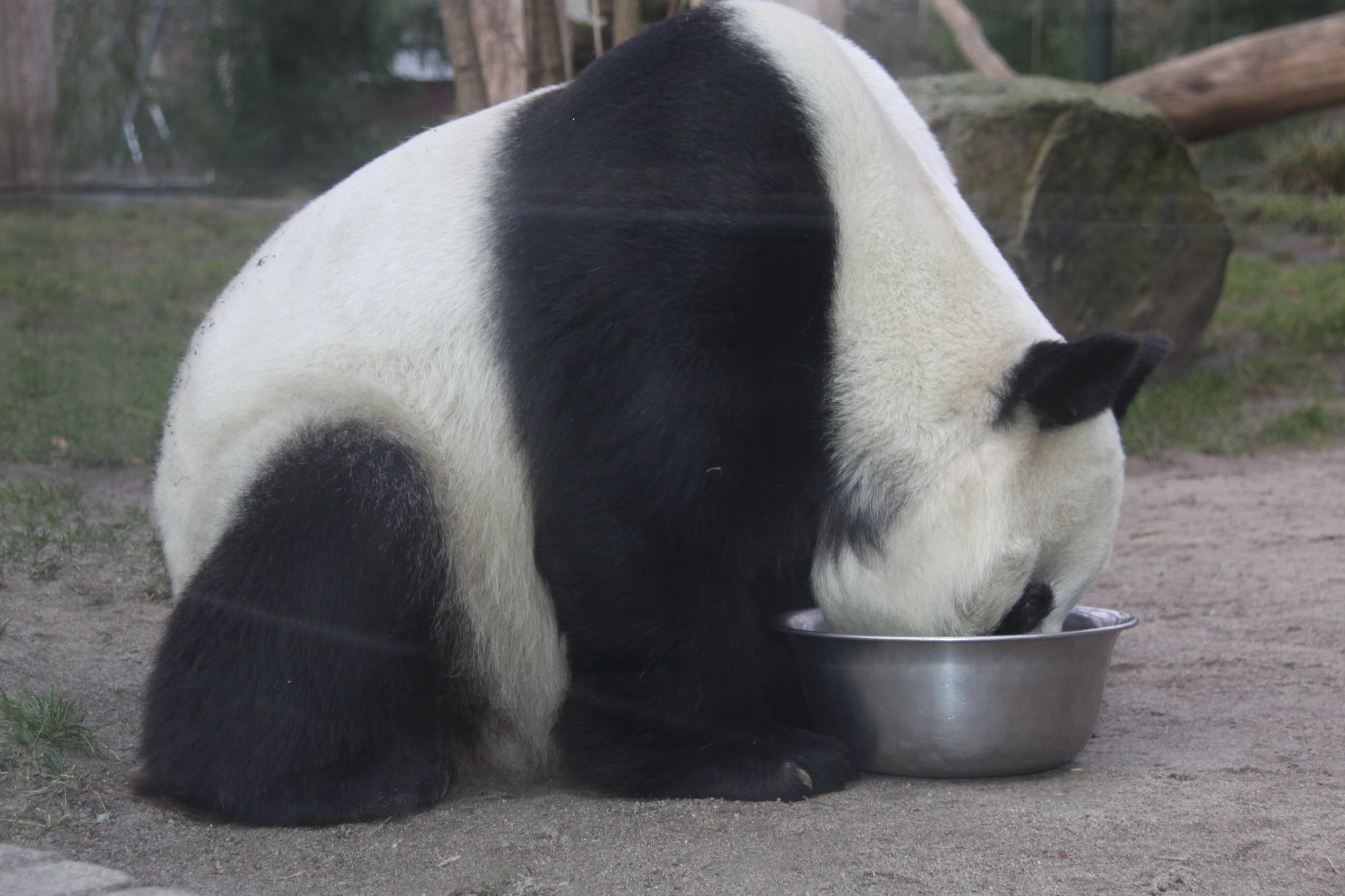 Zoo Berlin