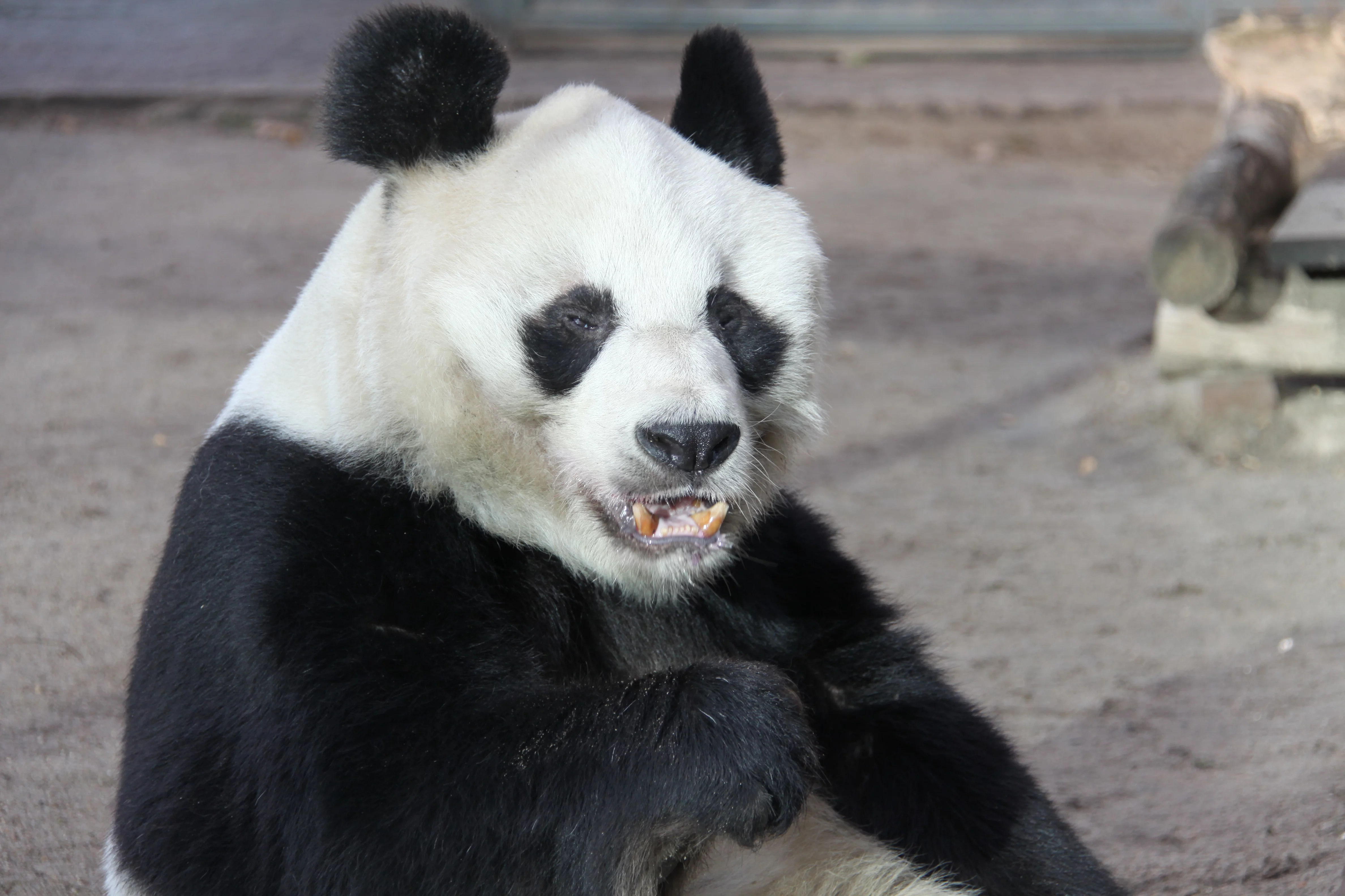Zoo Berlin