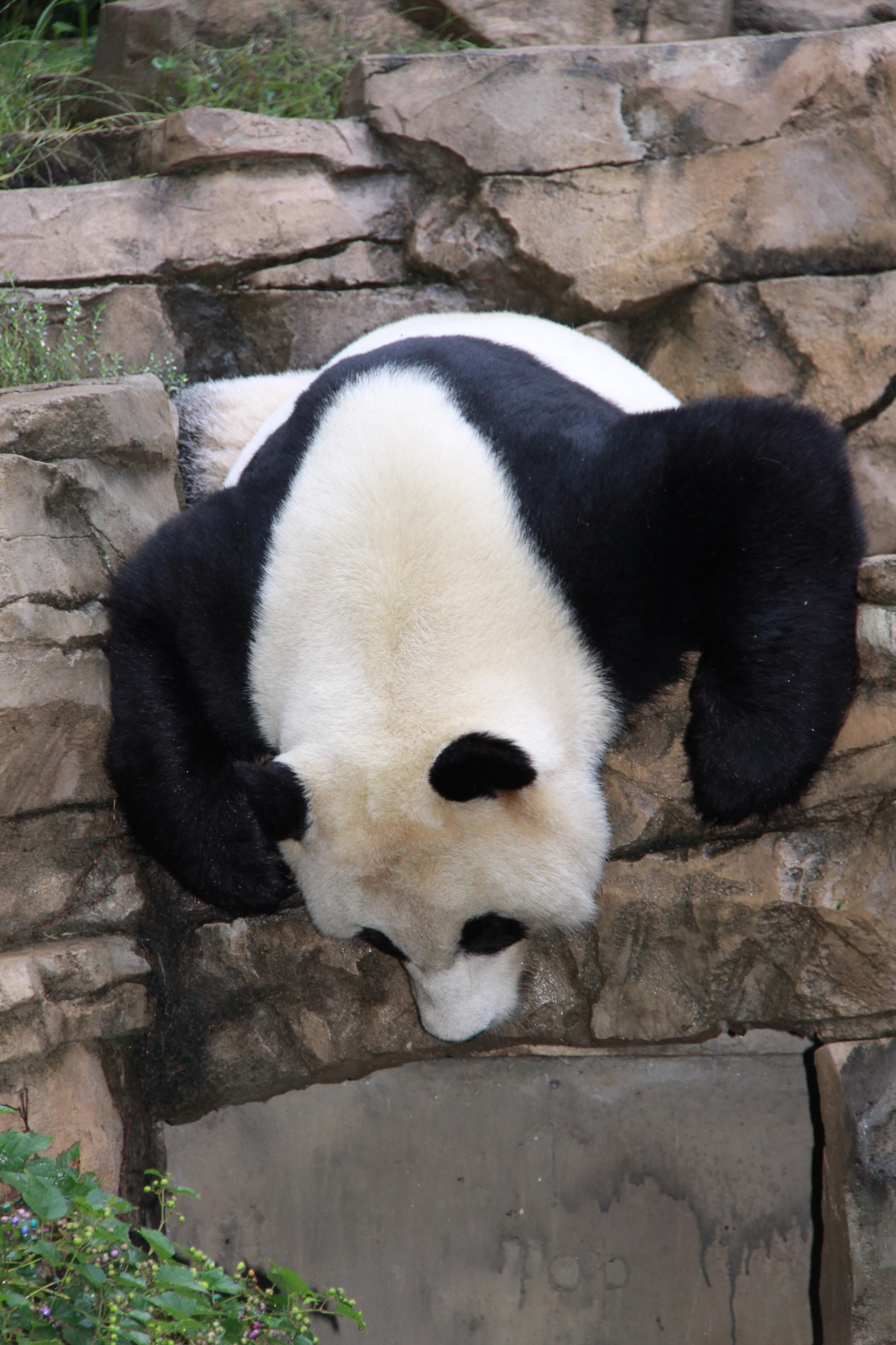 Smithsonian's National Zoo
