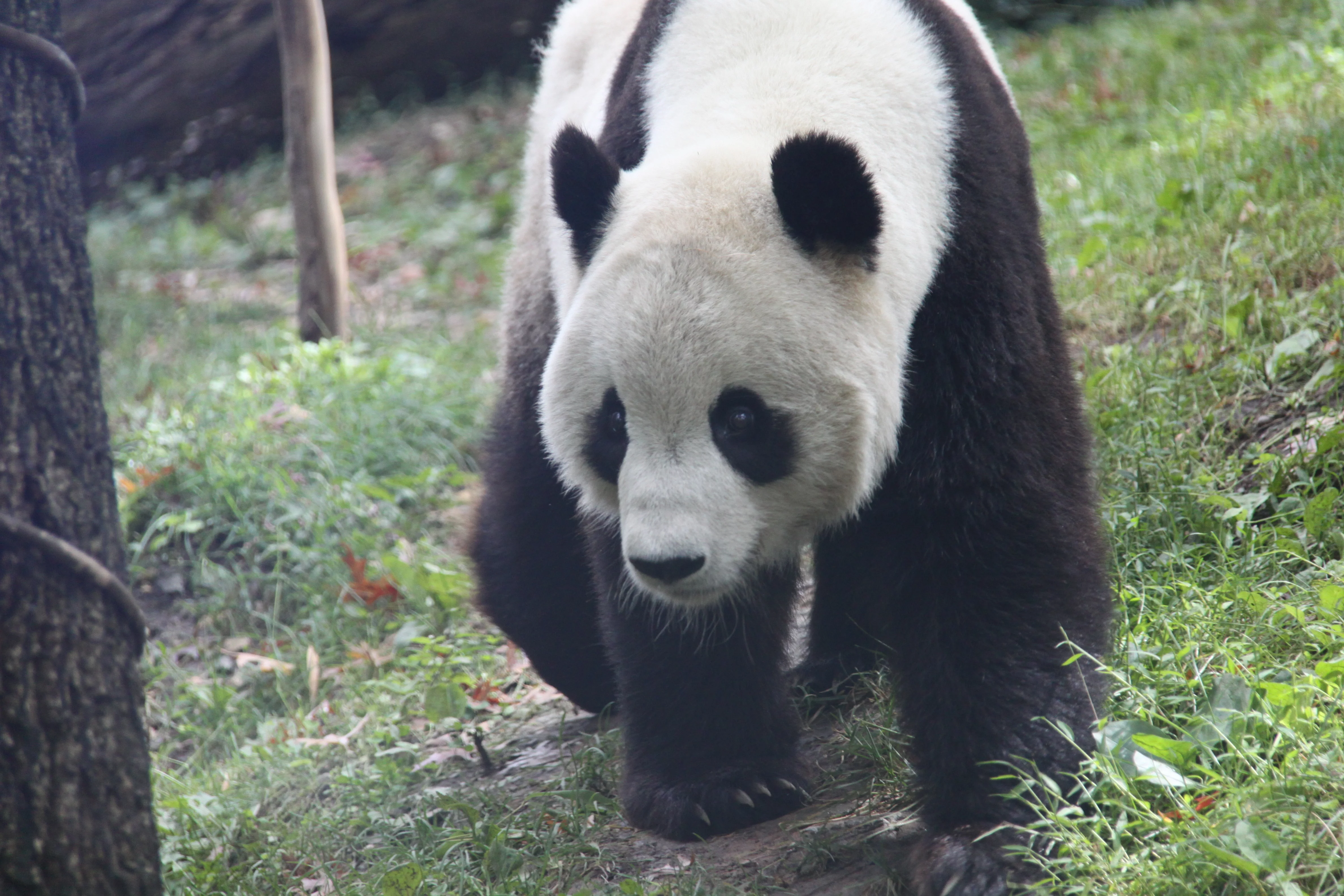 Smithsonian's National Zoo