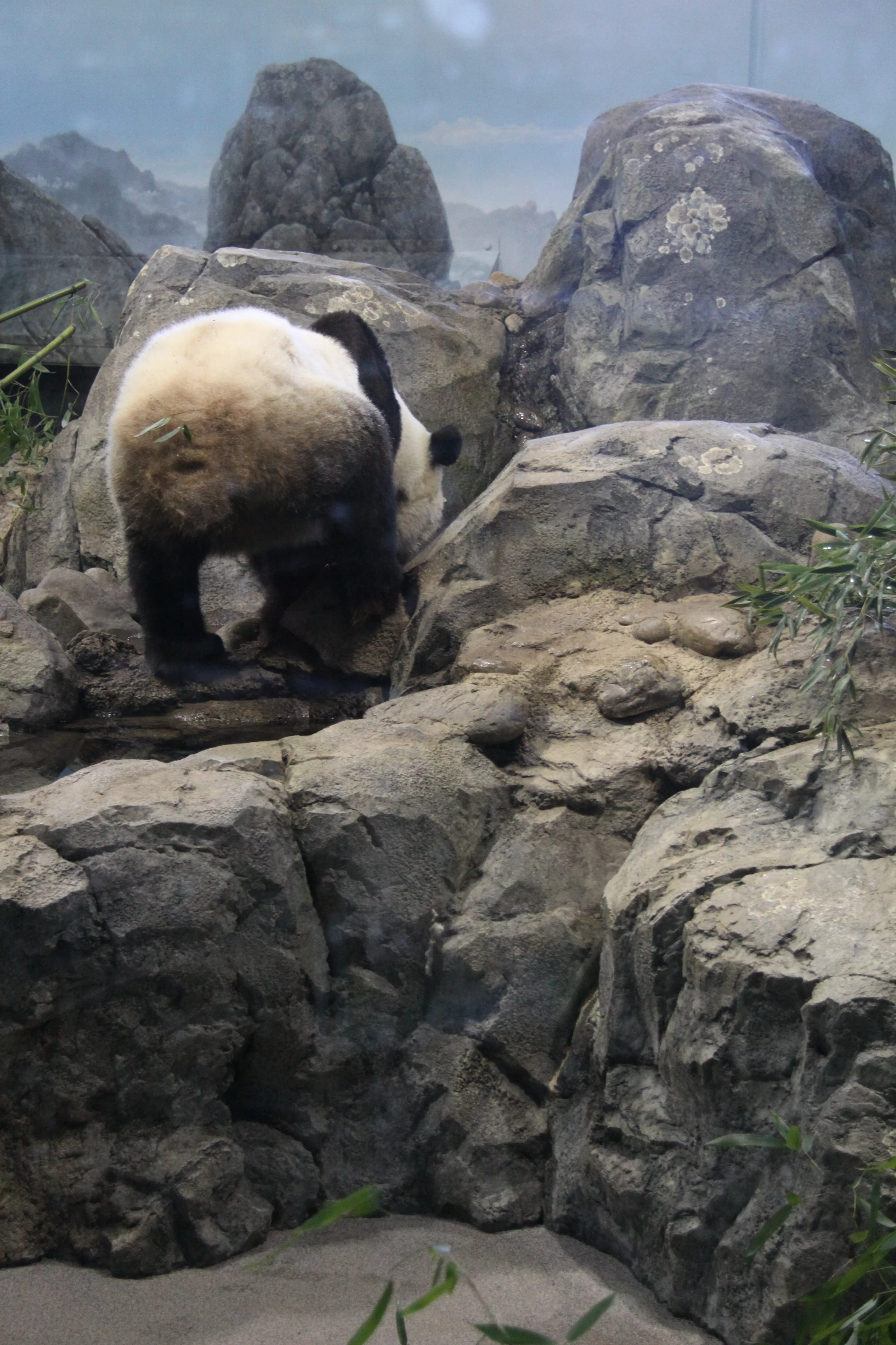 Smithsonian's National Zoo