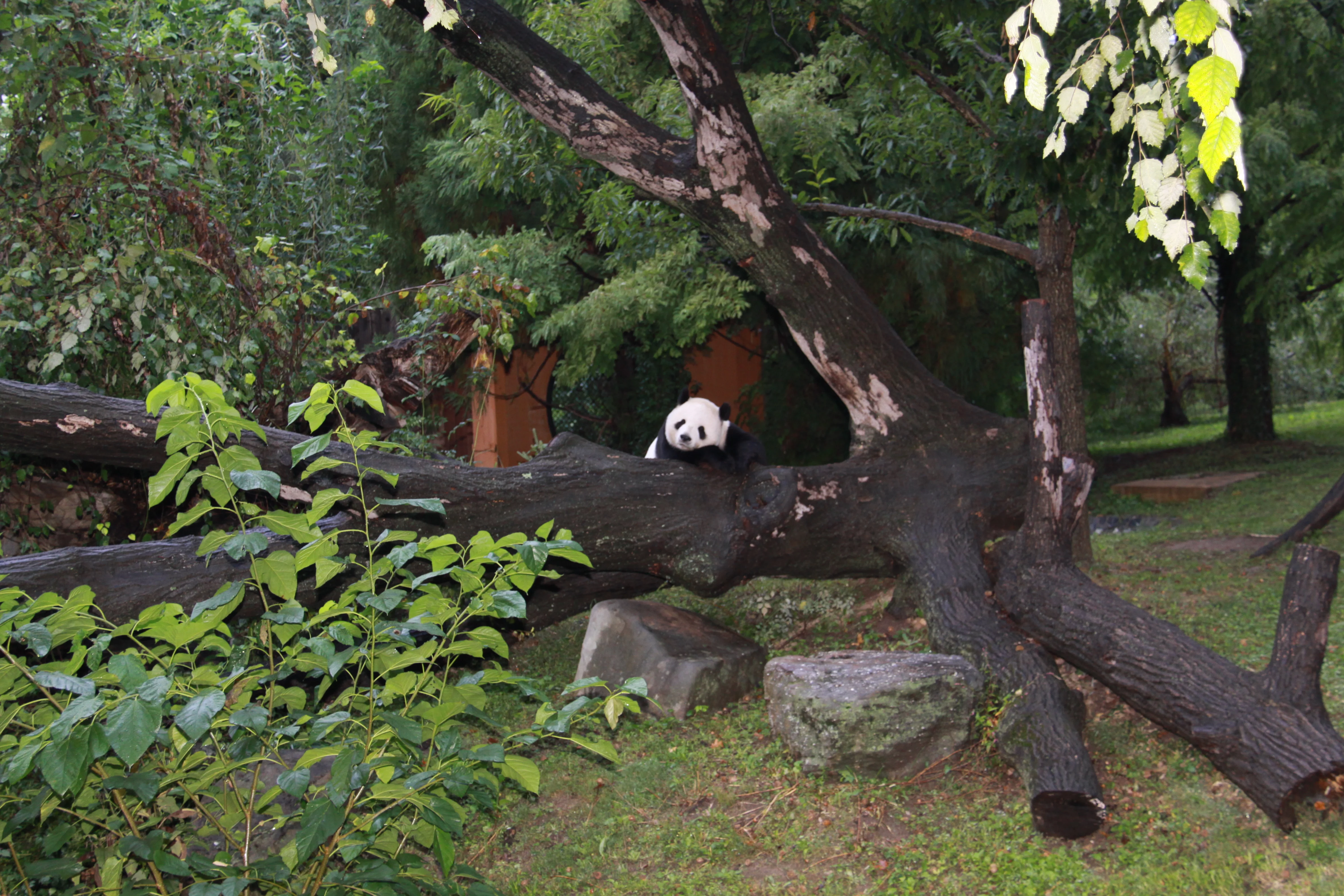 Smithsonian's National Zoo