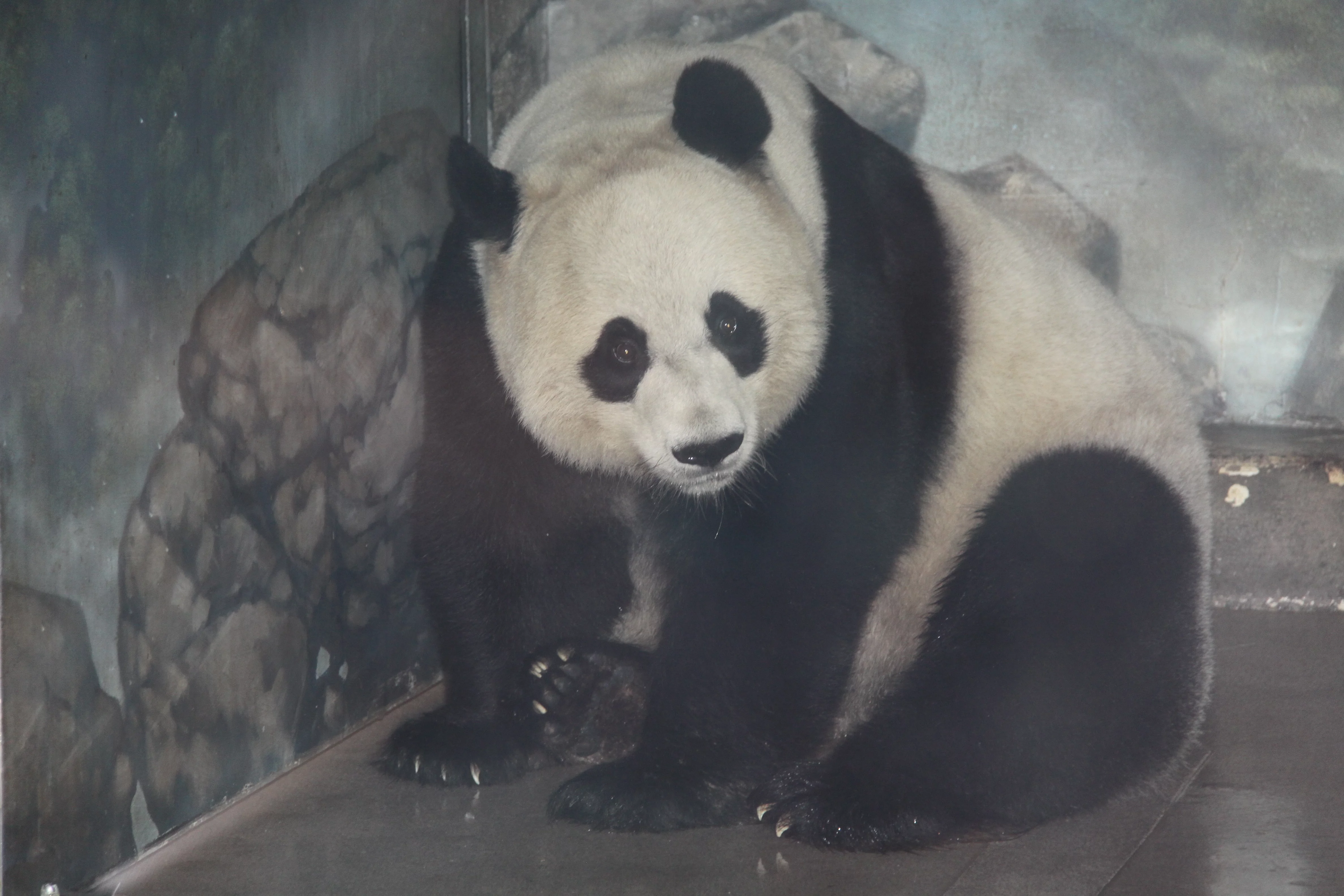 Smithsonian's National Zoo
