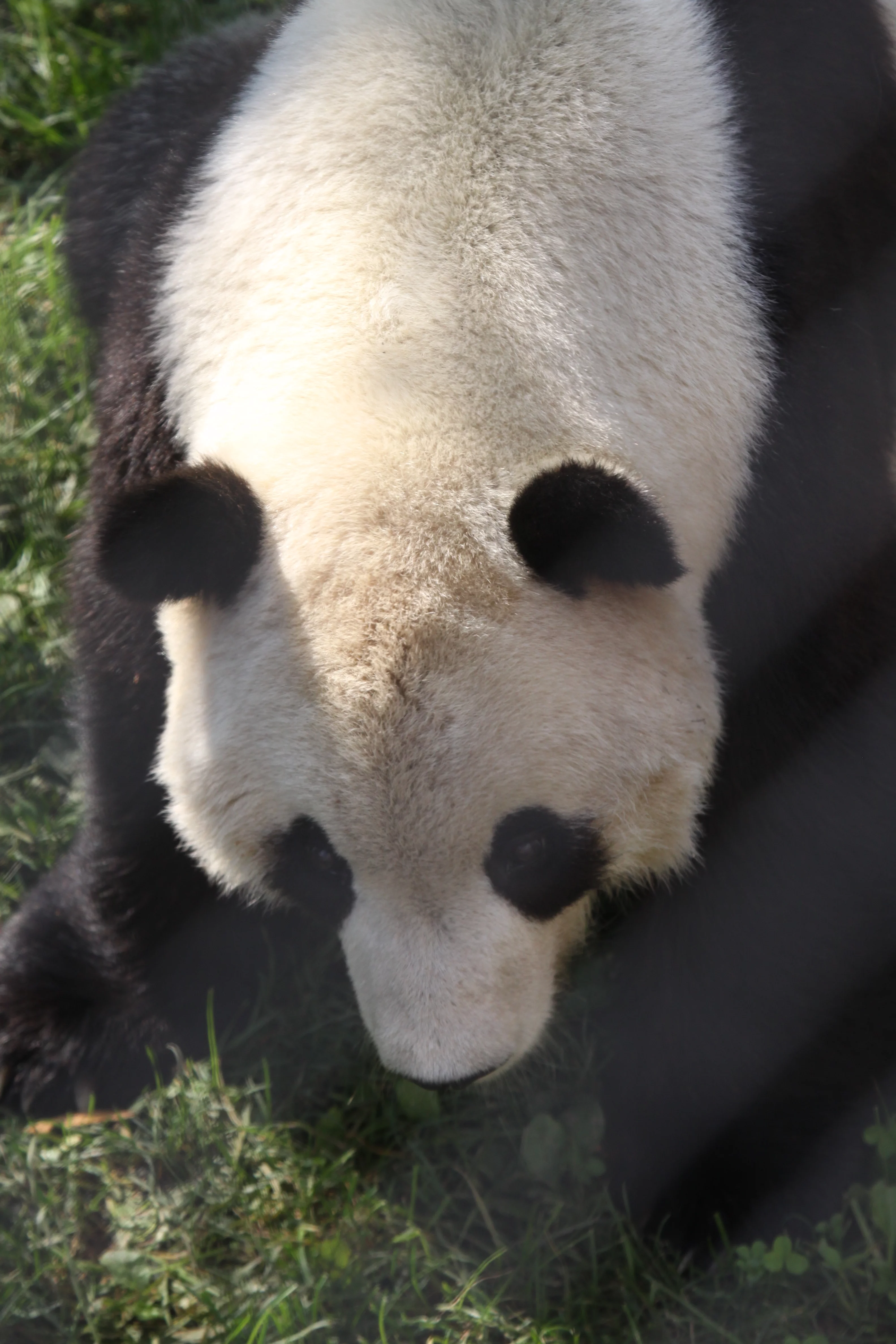 Smithsonian's National Zoo