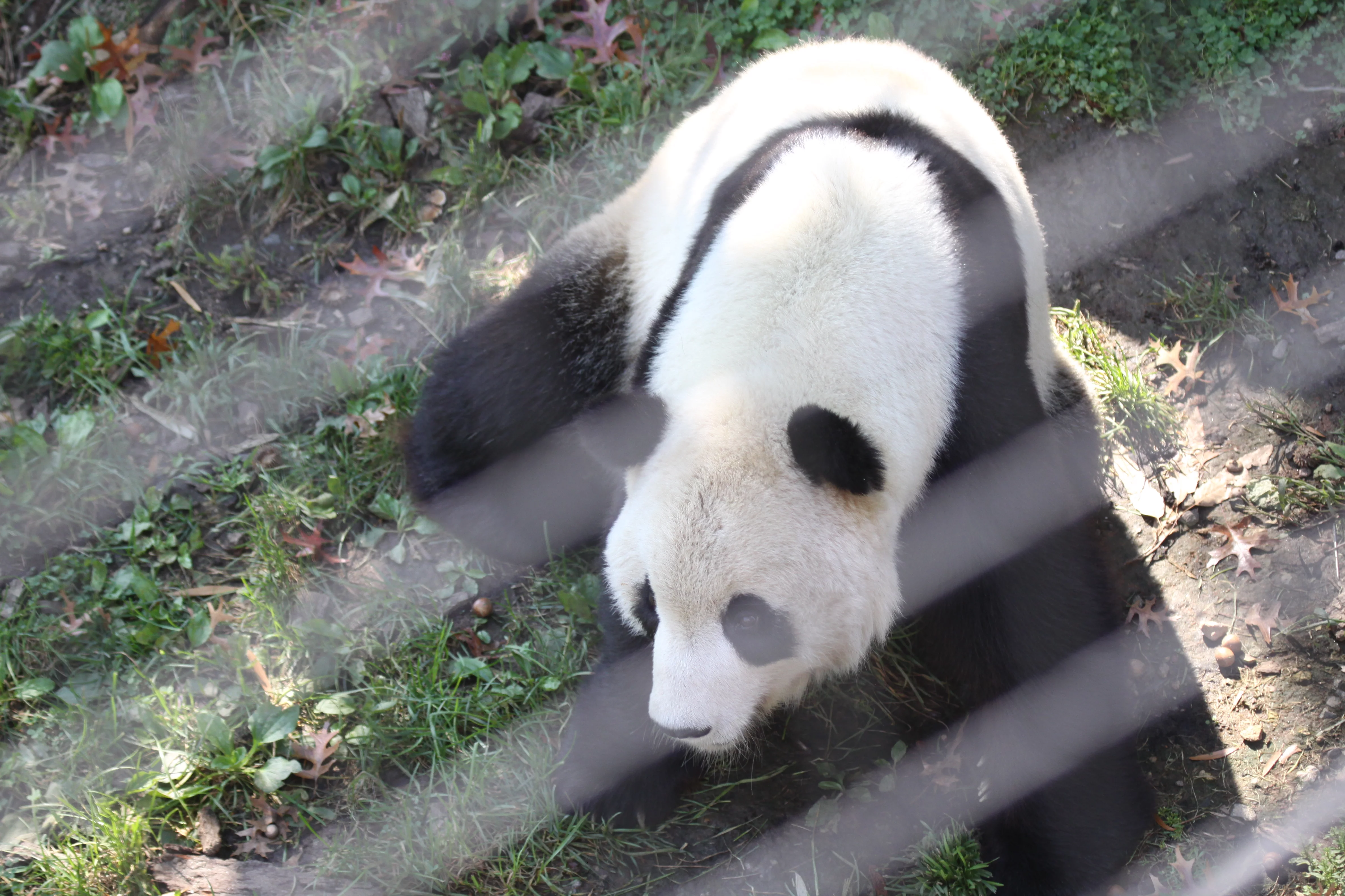 Smithsonian's National Zoo