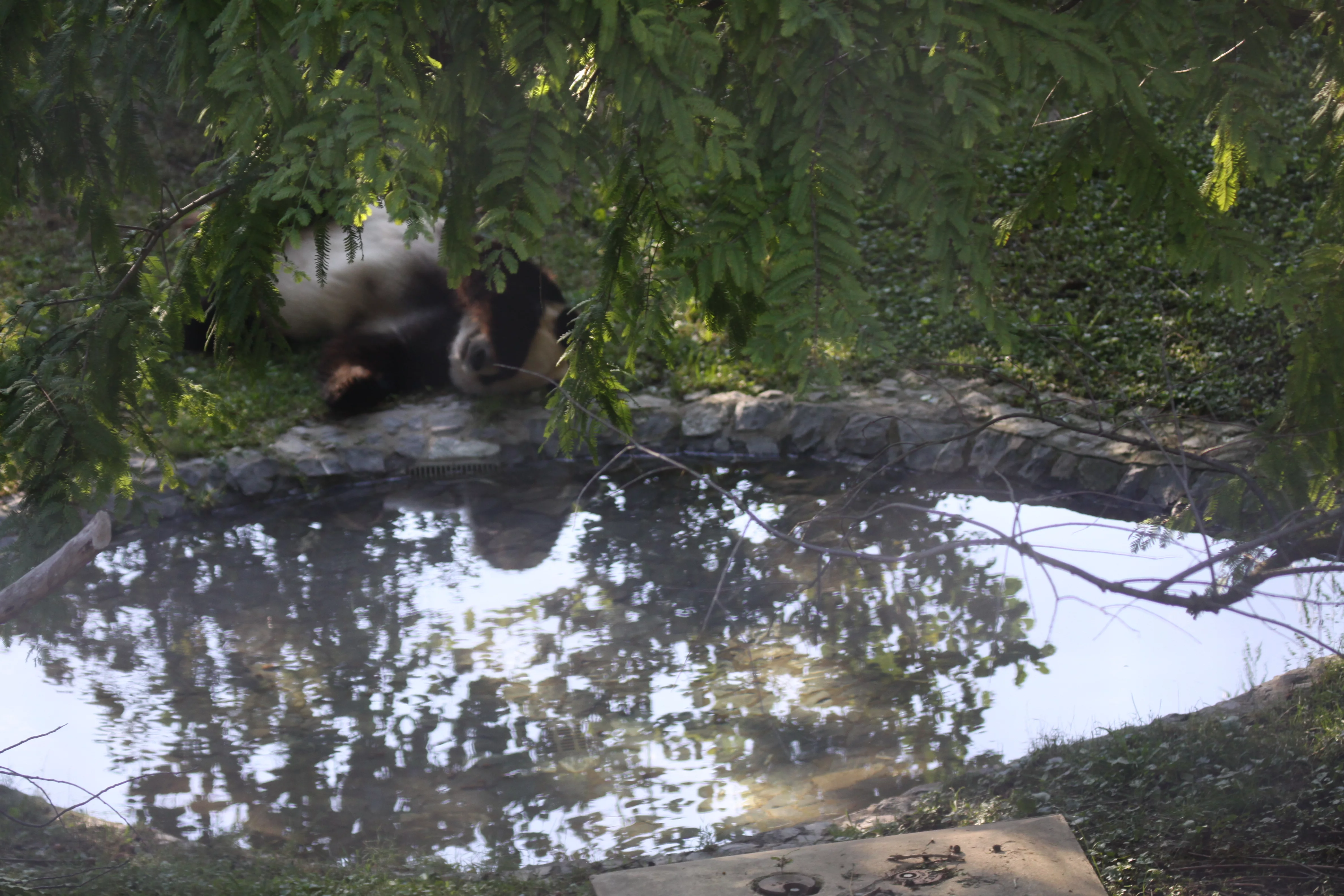 Smithsonian's National Zoo