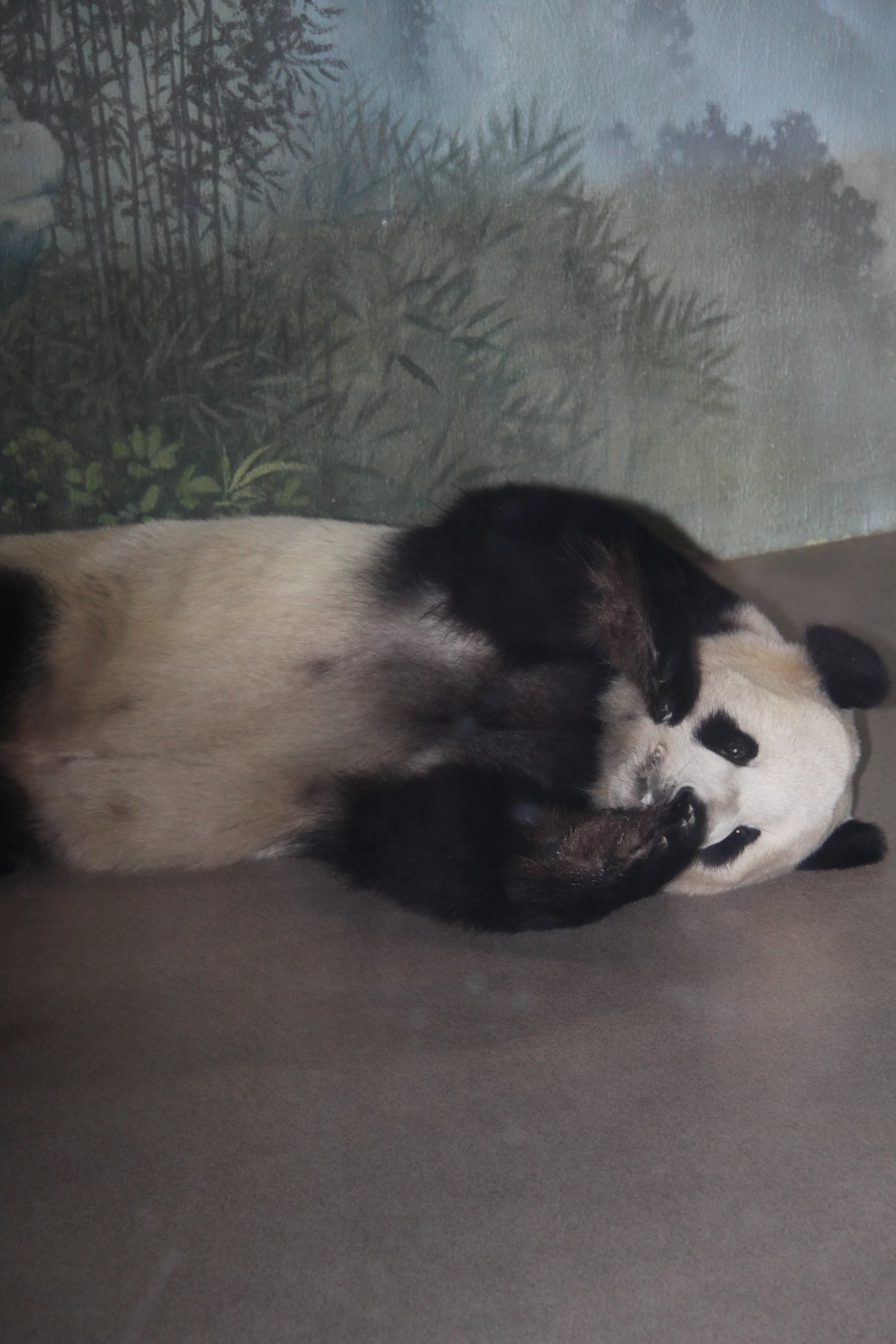 Smithsonian's National Zoo