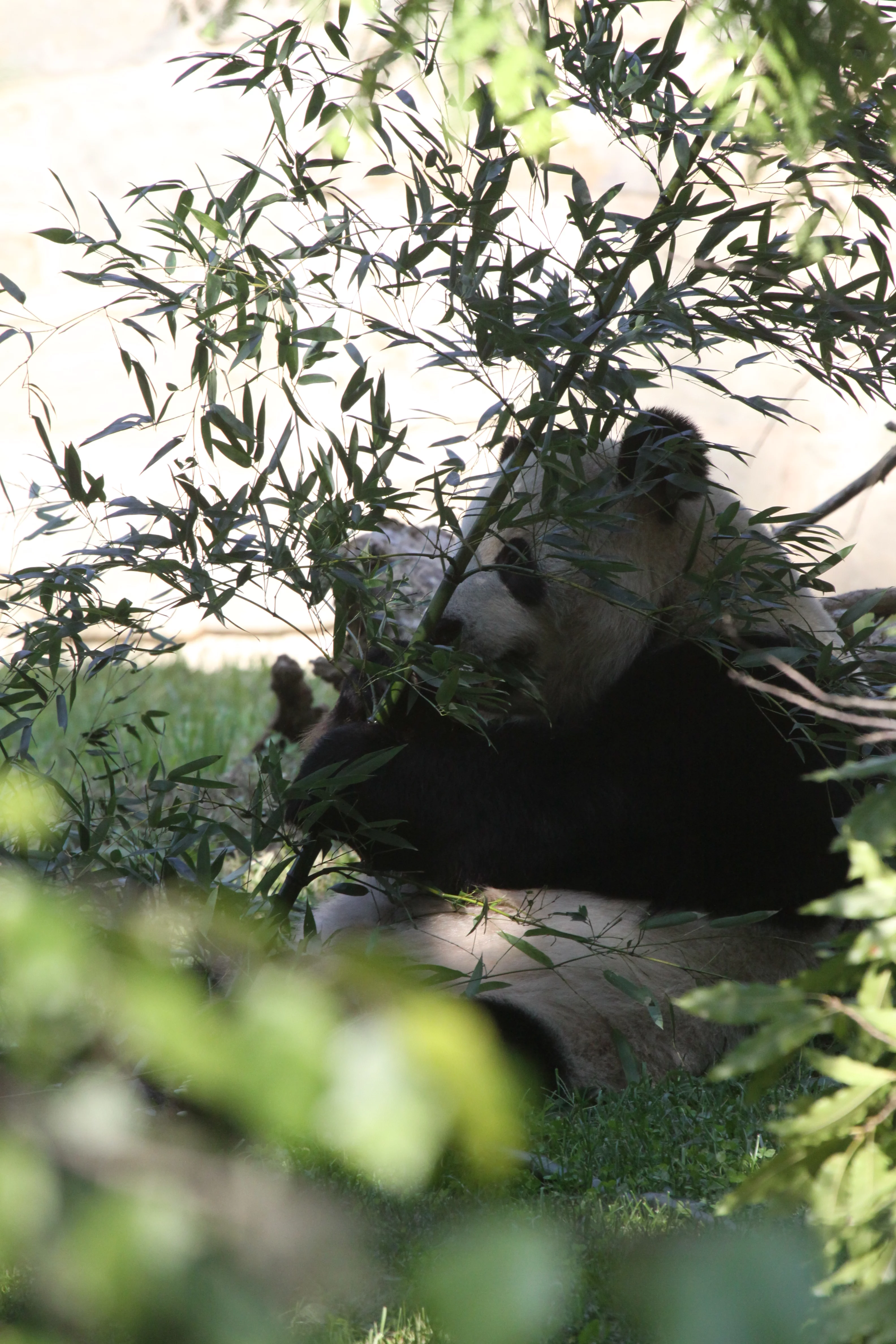 Smithsonian's National Zoo